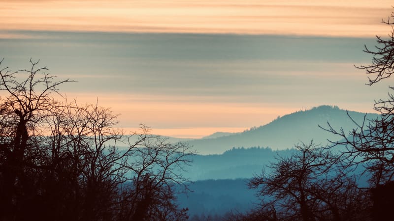Tout passe, même l'hiver ! Le printemps reviendra