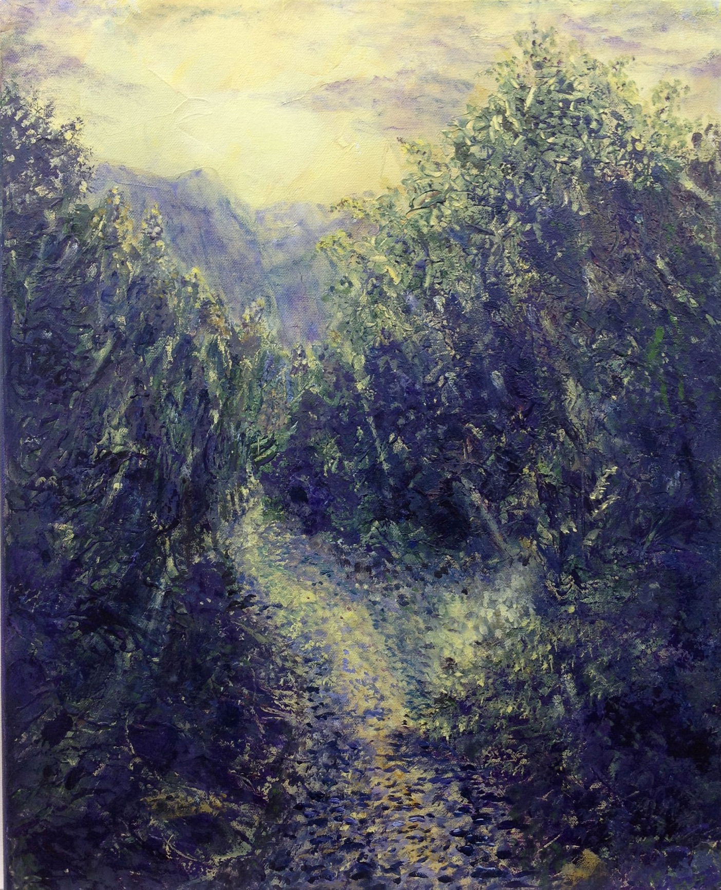 Evening sun