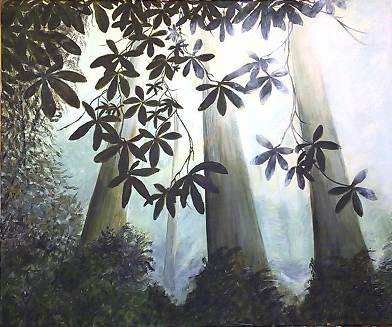 Morning mist