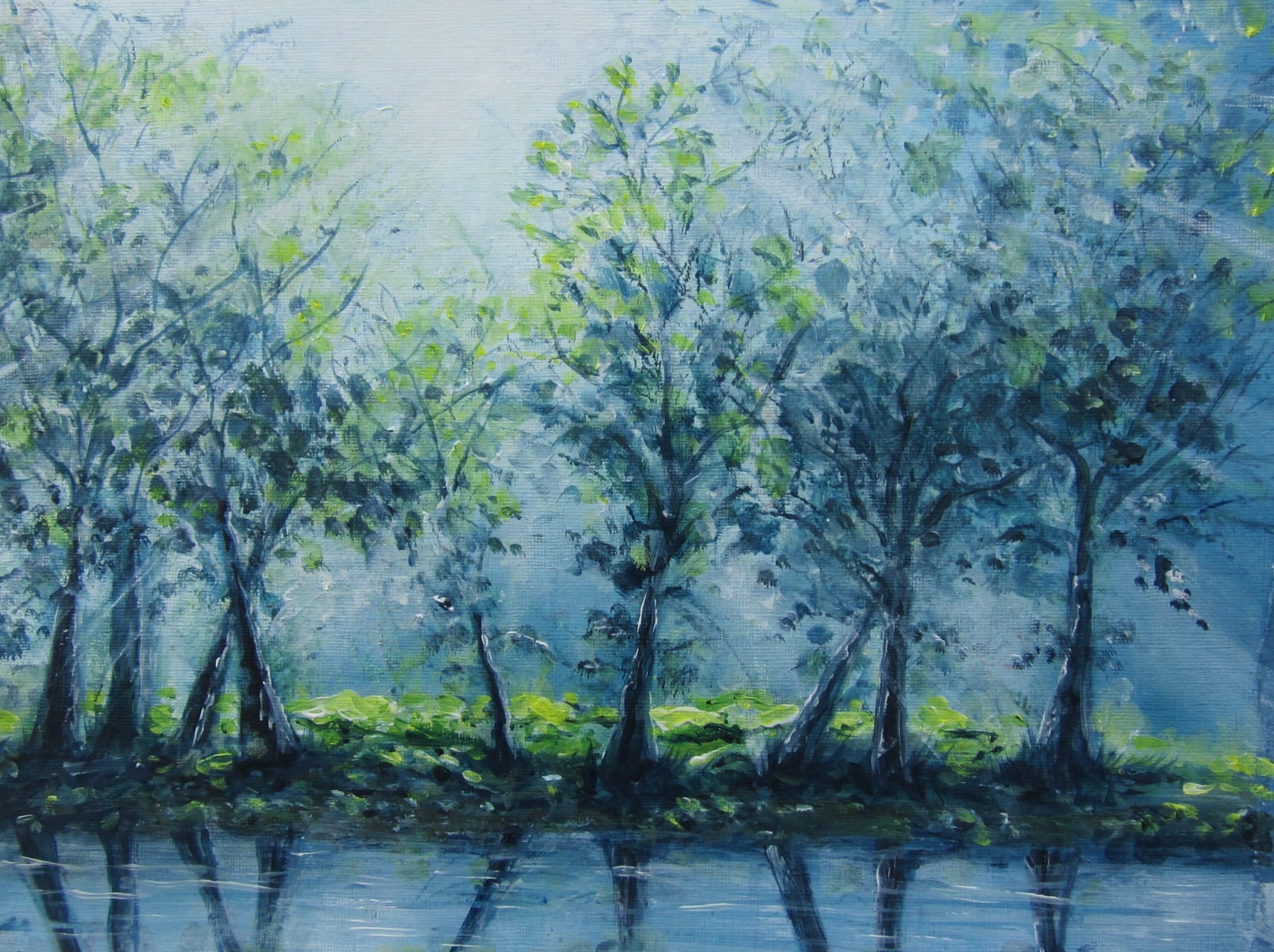 Morning stream