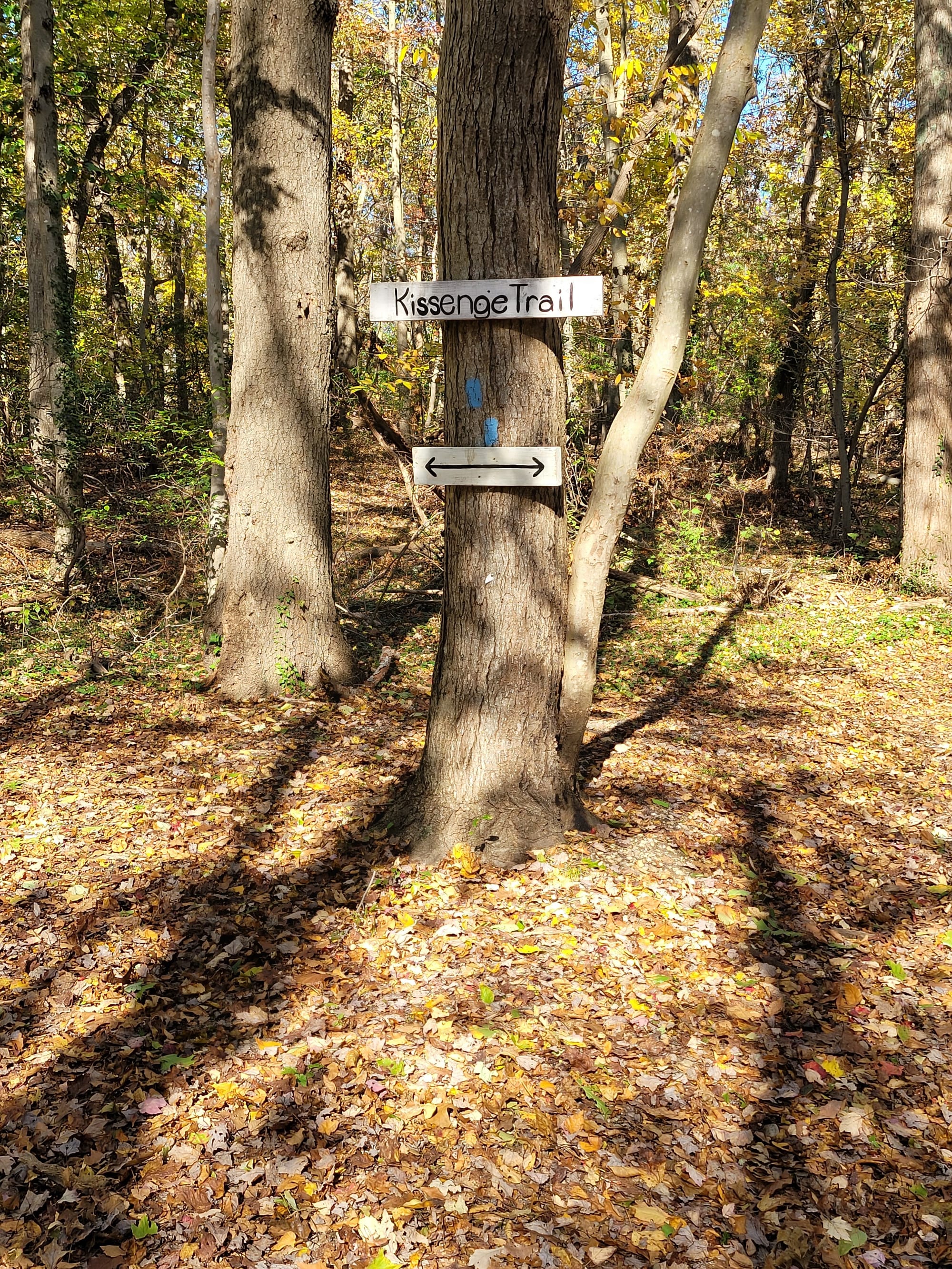 West Hills County Park (Melville, NY)