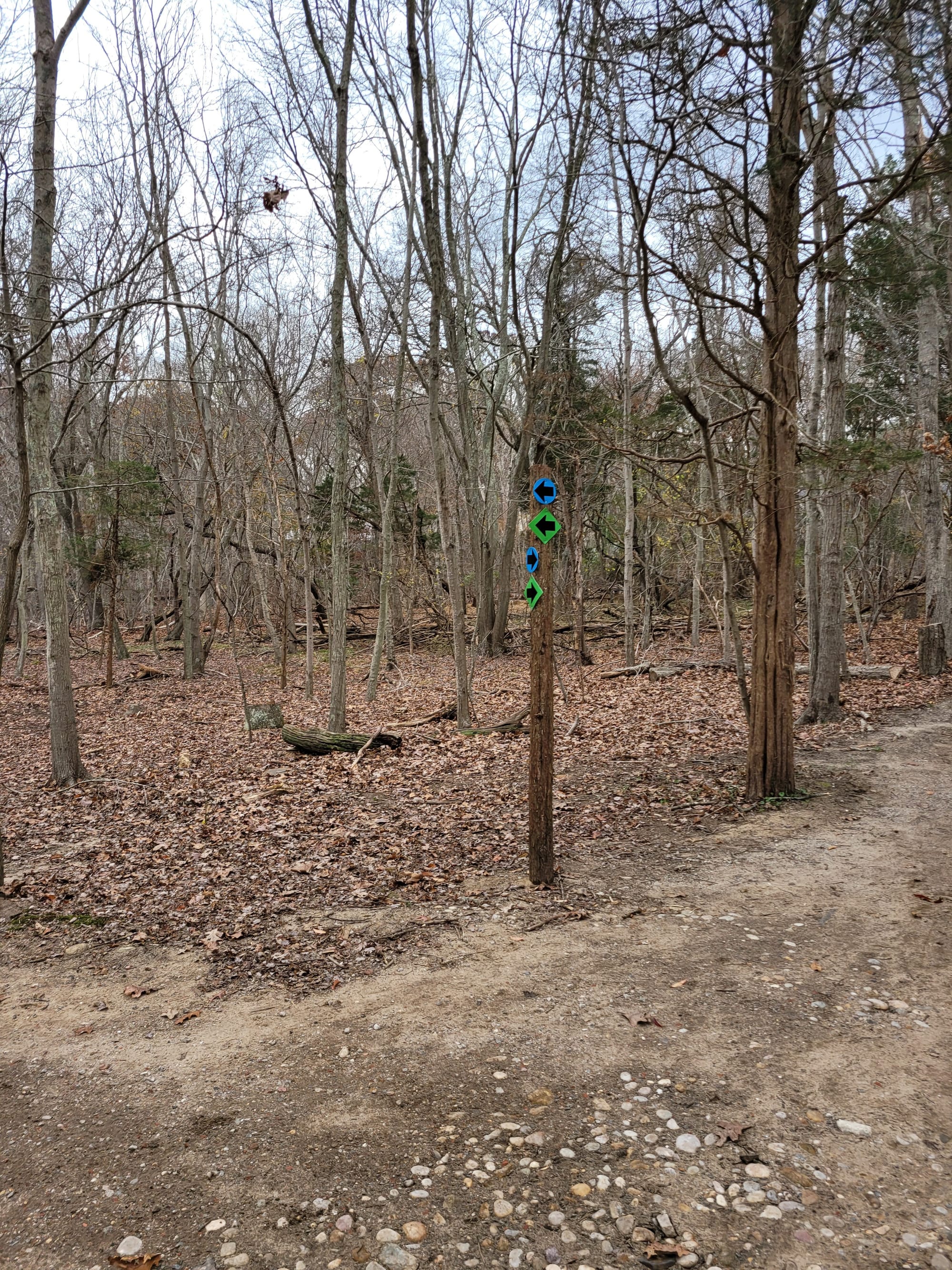 Caleb Smith State Park Preserve Hiking Trails - Smithtown, NY