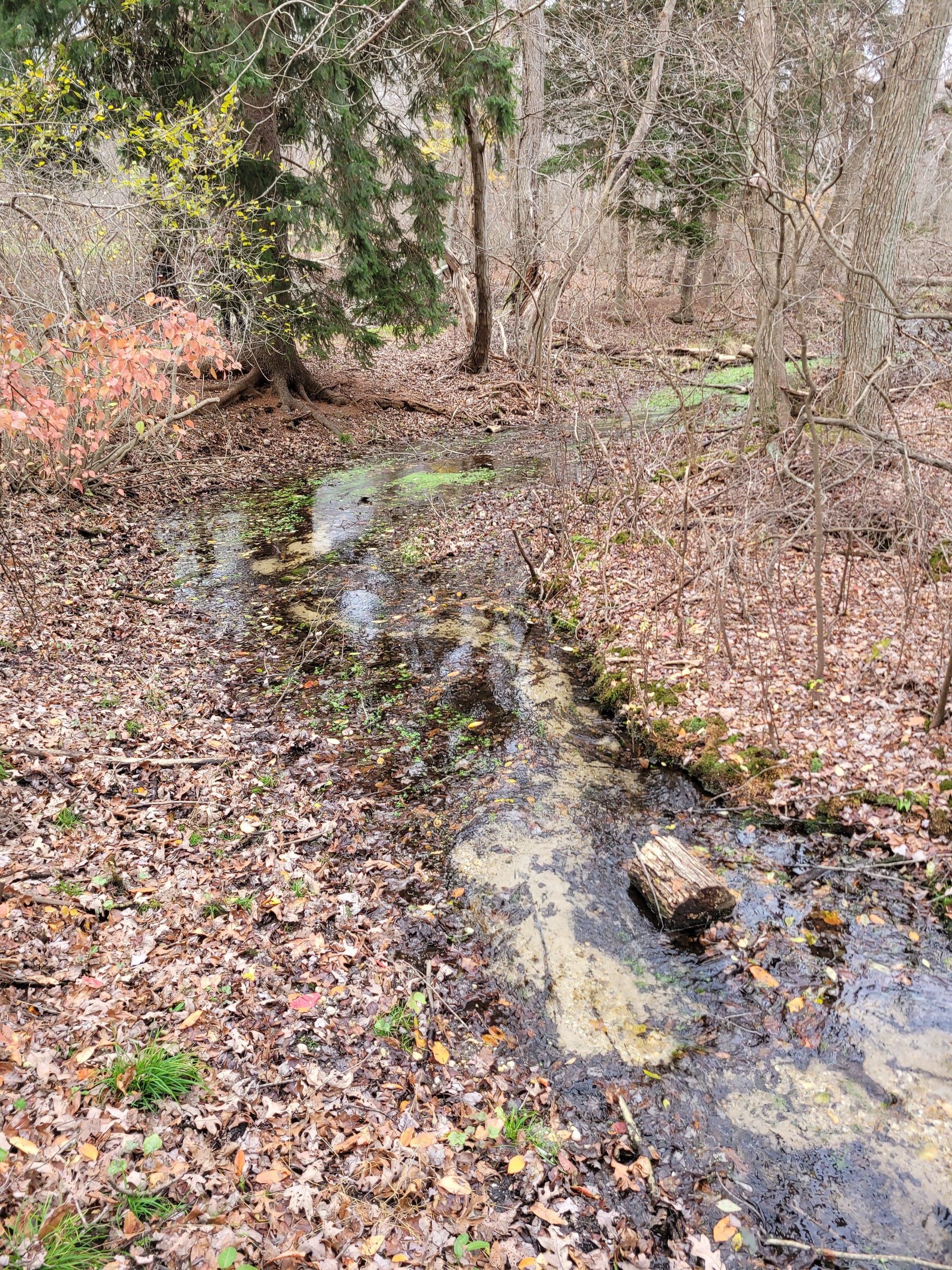 Caleb Smith State Park Preserve Hiking Trails - Smithtown, NY