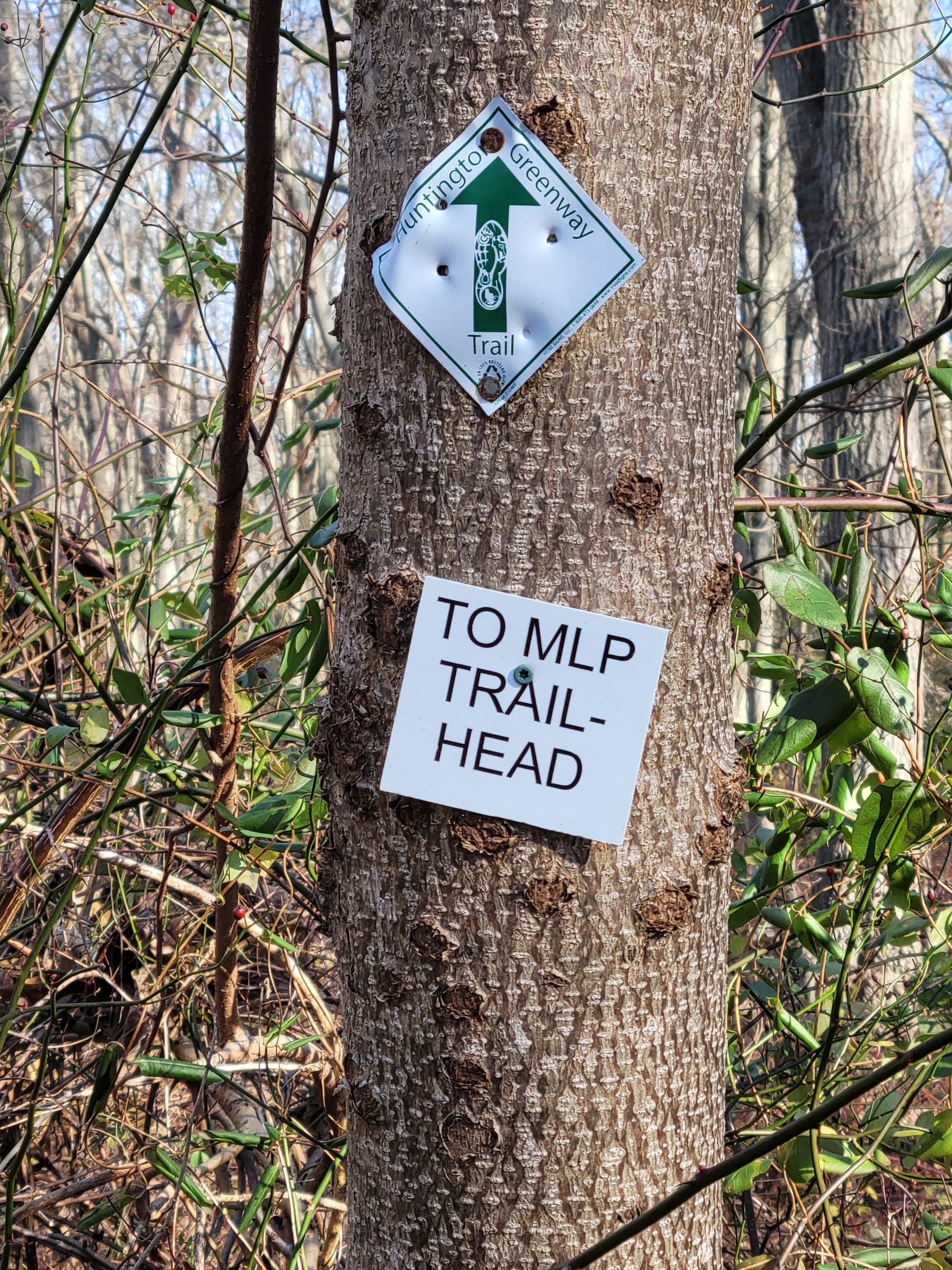 Meadowlark Park Hiking/Biking Trails - Fort Salonga, NY