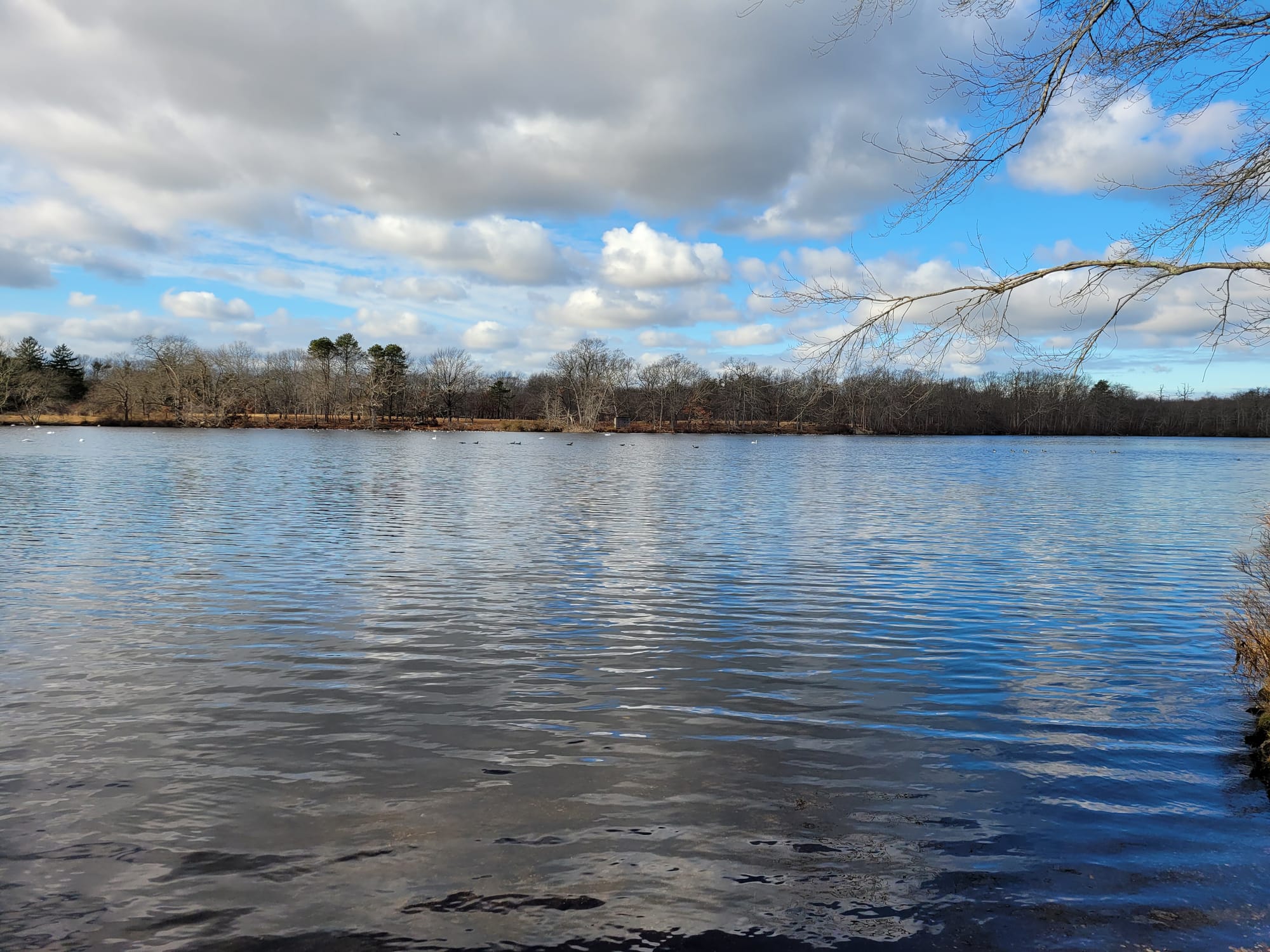 Connetquot River State Park Preserve (Oakdale, NY)