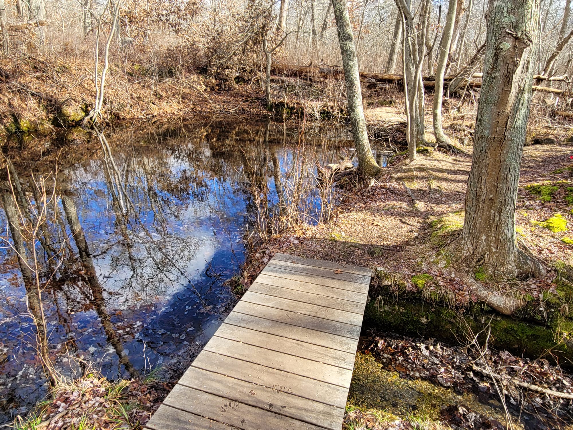 Connetquot River State Park Preserve (Oakdale, NY)