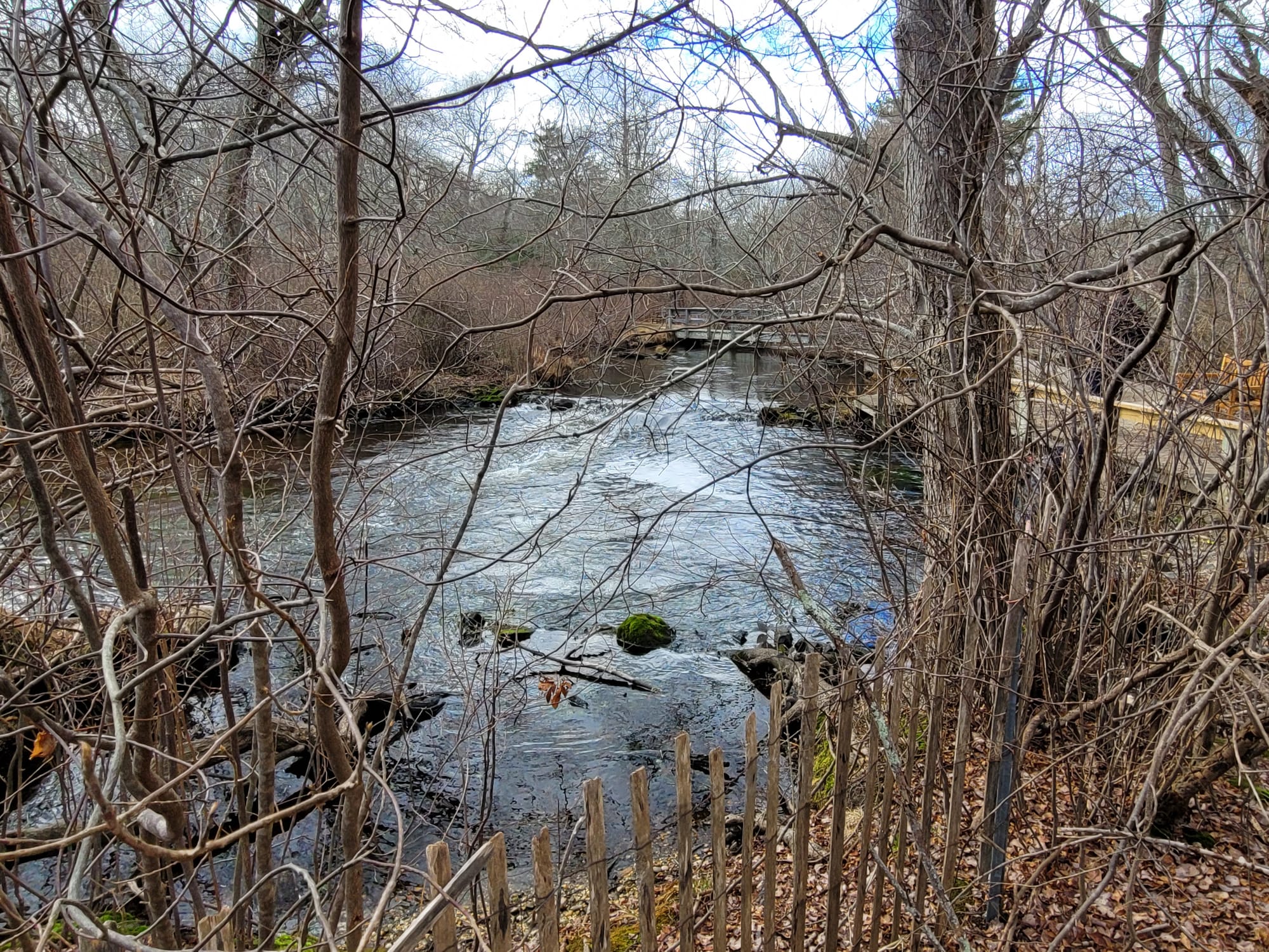 Connetquot River State Park Preserve (Oakdale, NY)