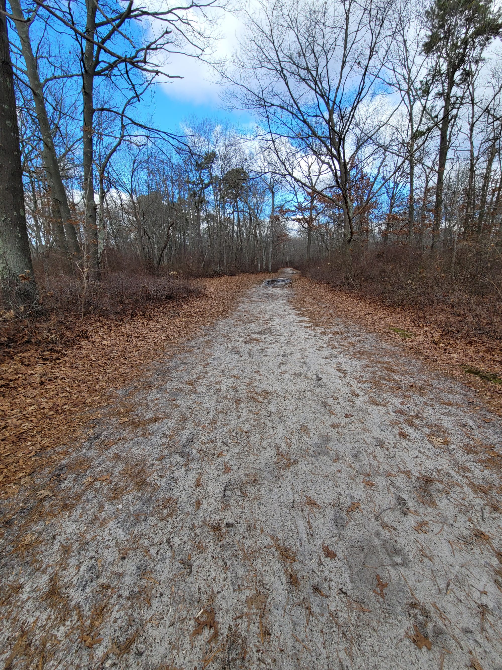 Connetquot River State Park Preserve (Oakdale, NY)