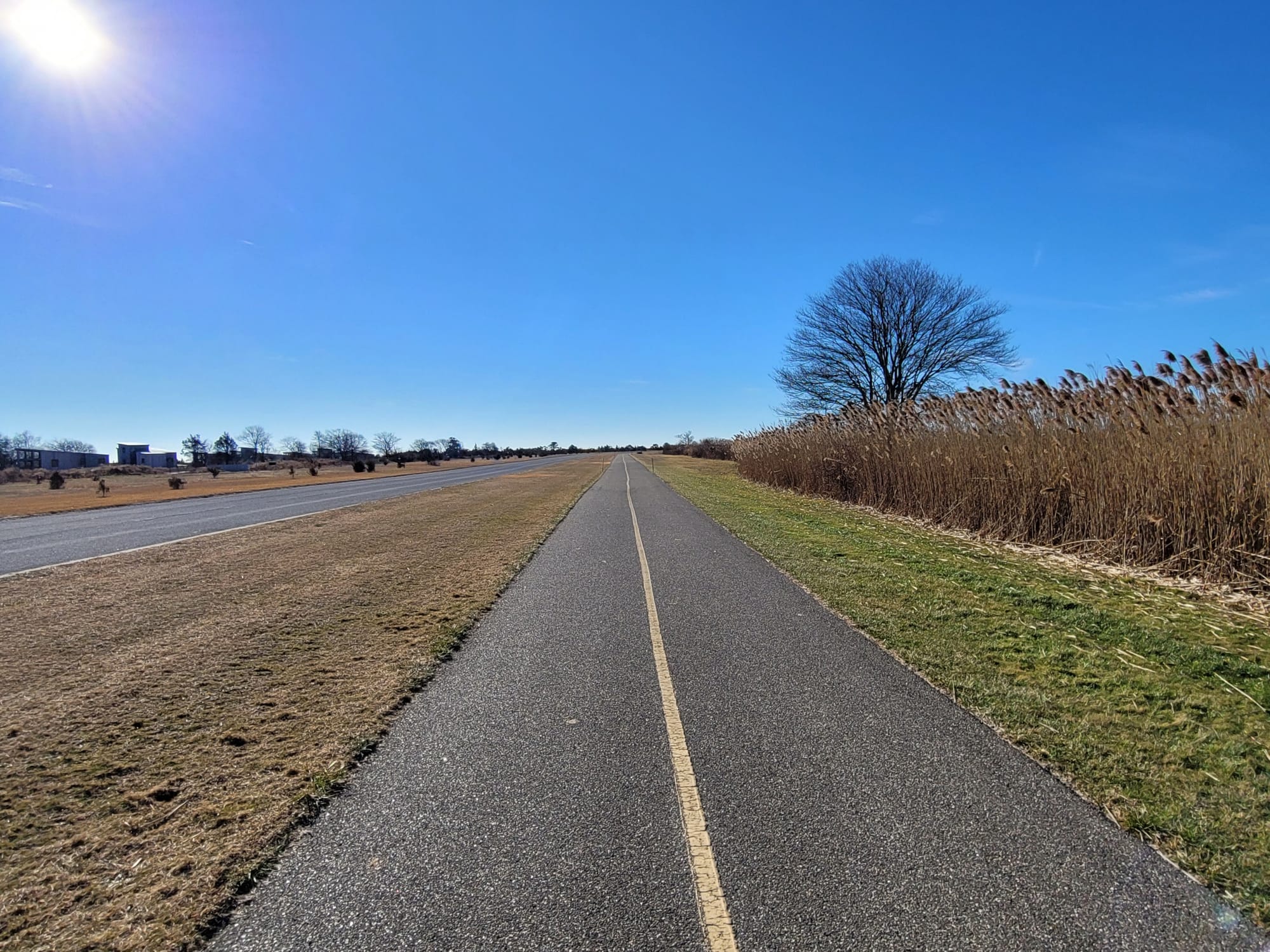 Heckscher State Park Hiking/Biking Trails (East Islip, NY)