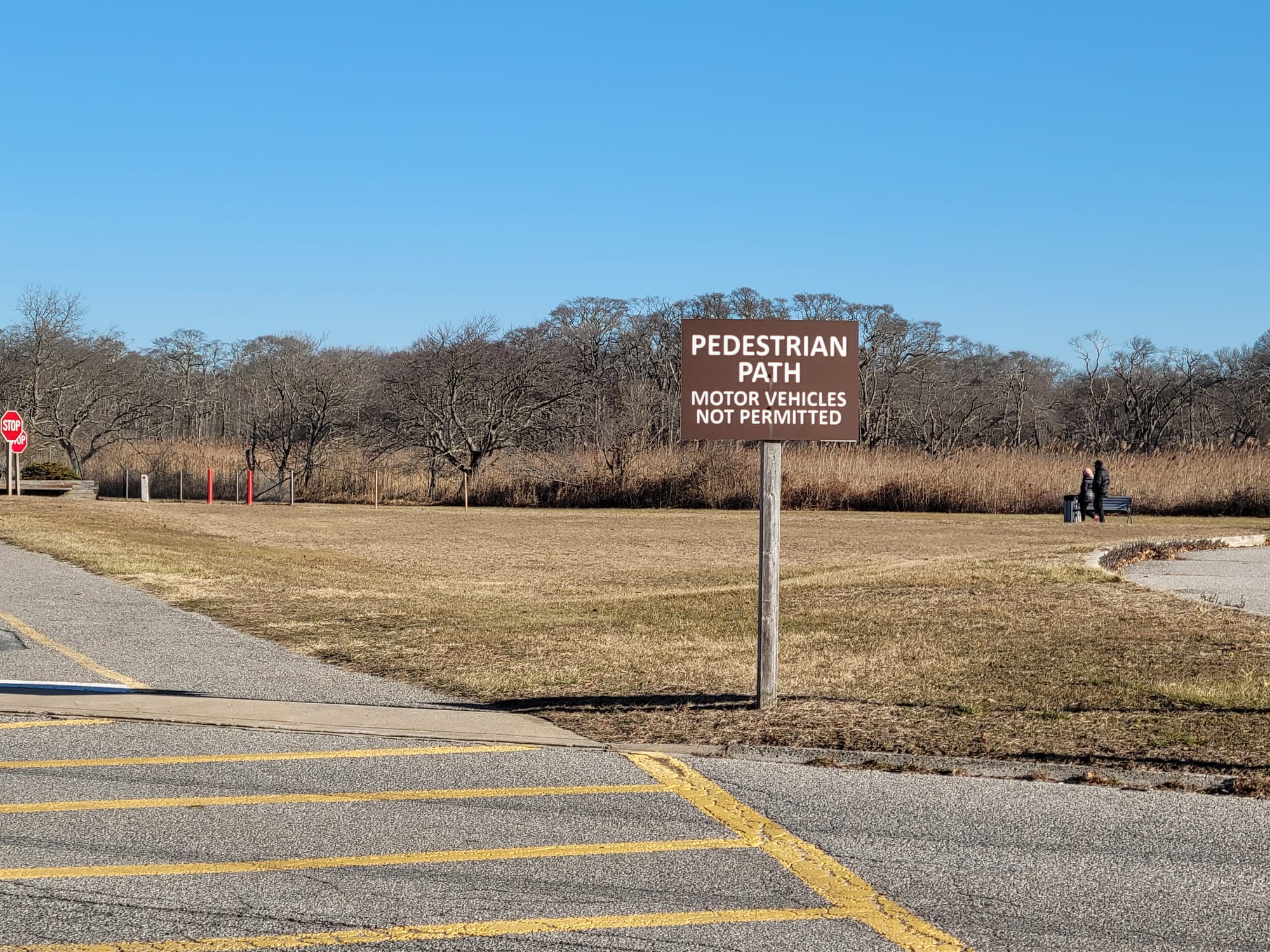 Heckscher State Park Hiking/Biking Trails (East Islip, NY)