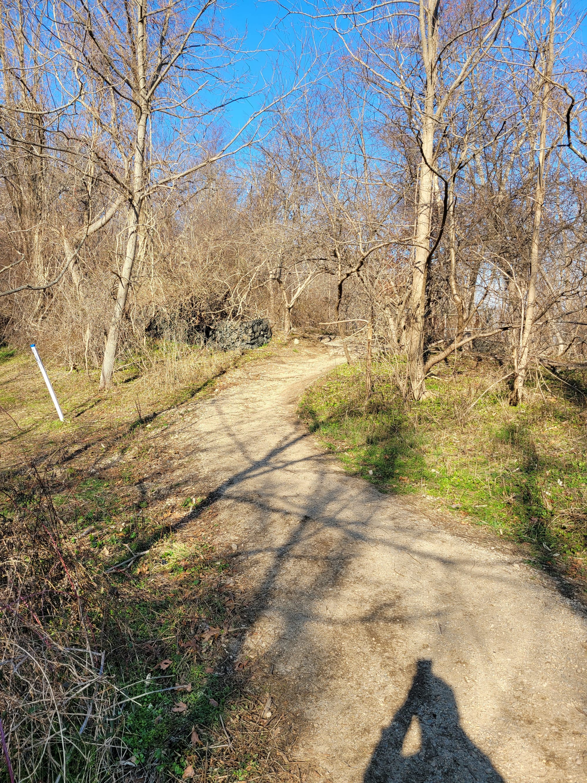 Makamah Nature Preserve Trails (Fort Salonga, NY)