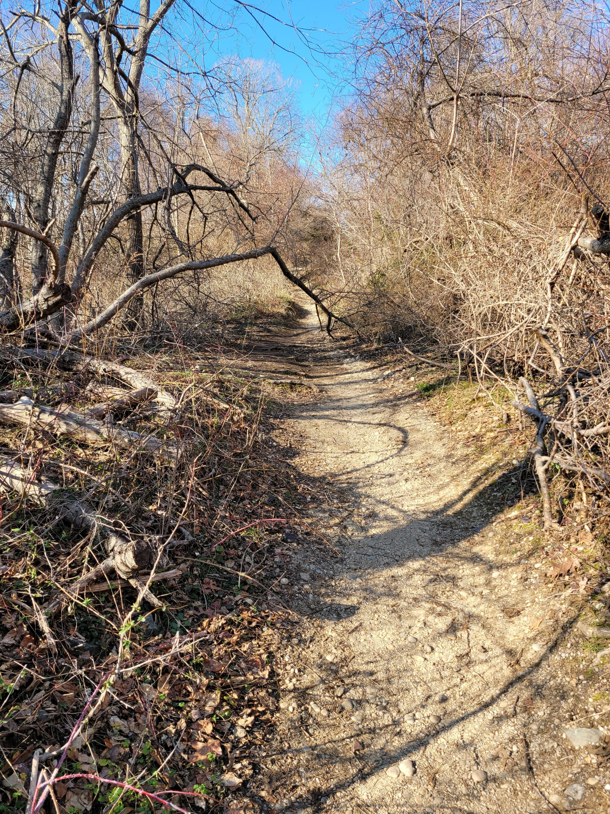 Makamah Nature Preserve Trails (Fort Salonga, NY)