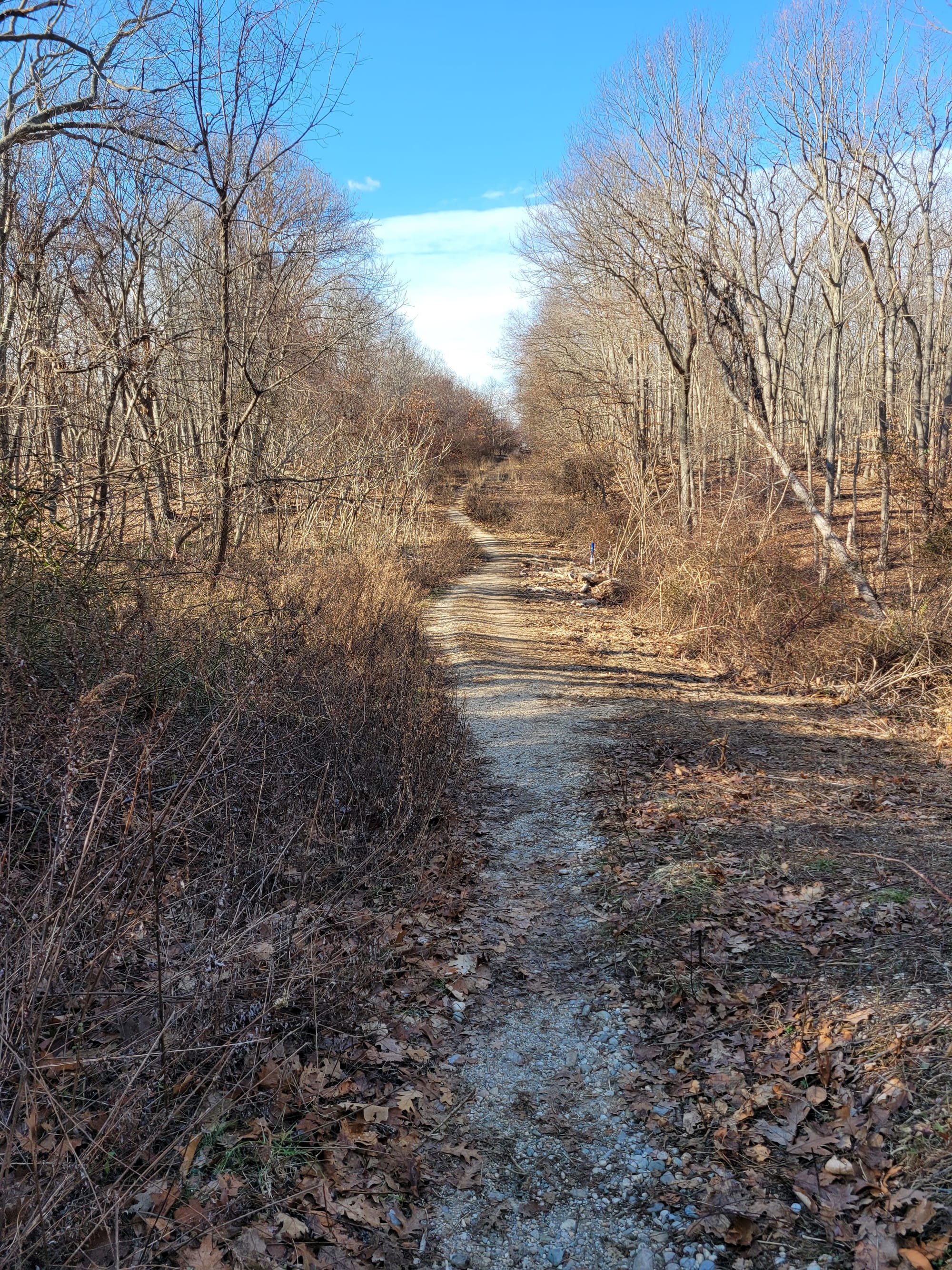 Makamah Nature Preserve Trails (Fort Salonga, NY)