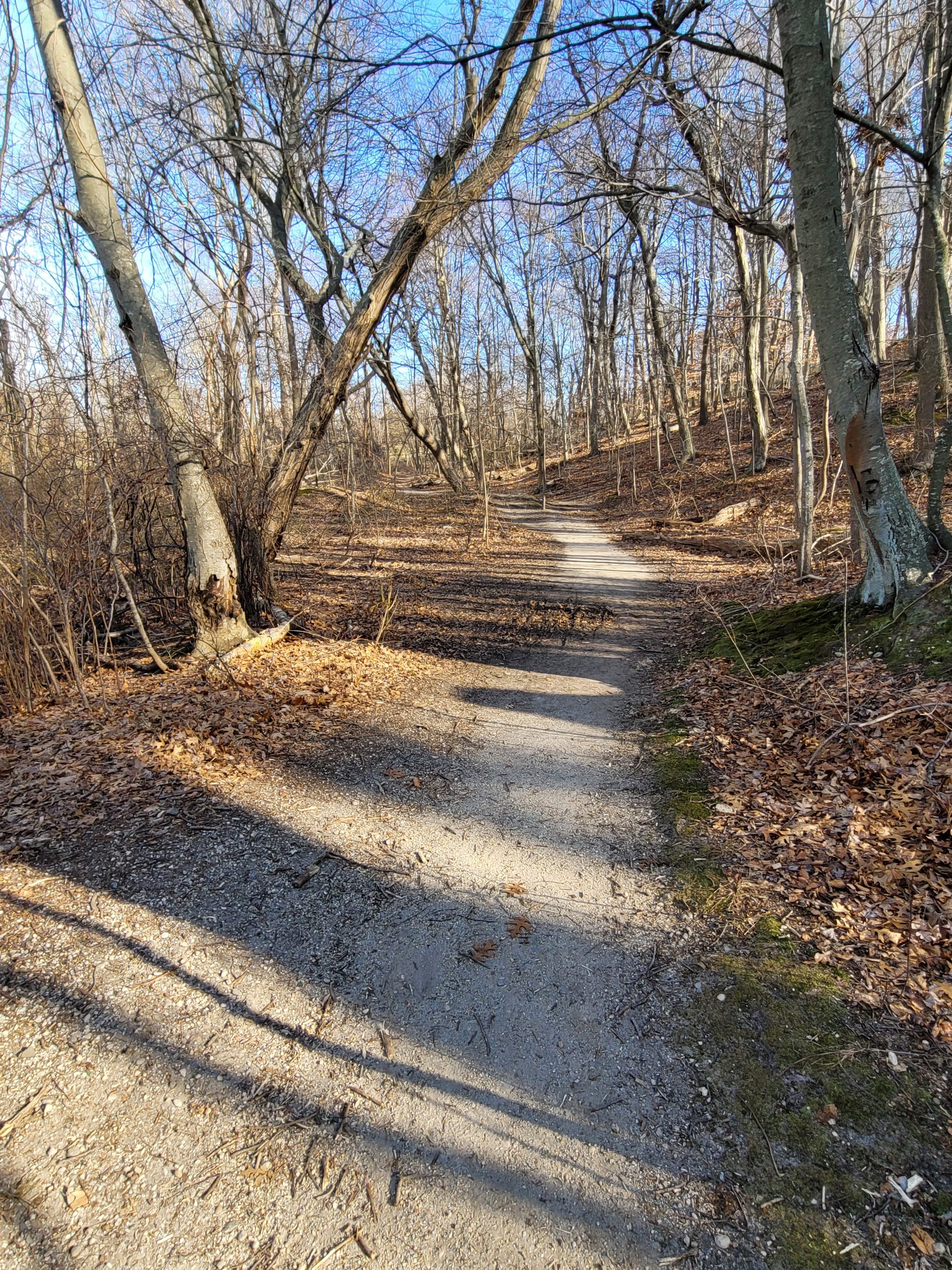 Makamah Nature Preserve Trails (Fort Salonga, NY)