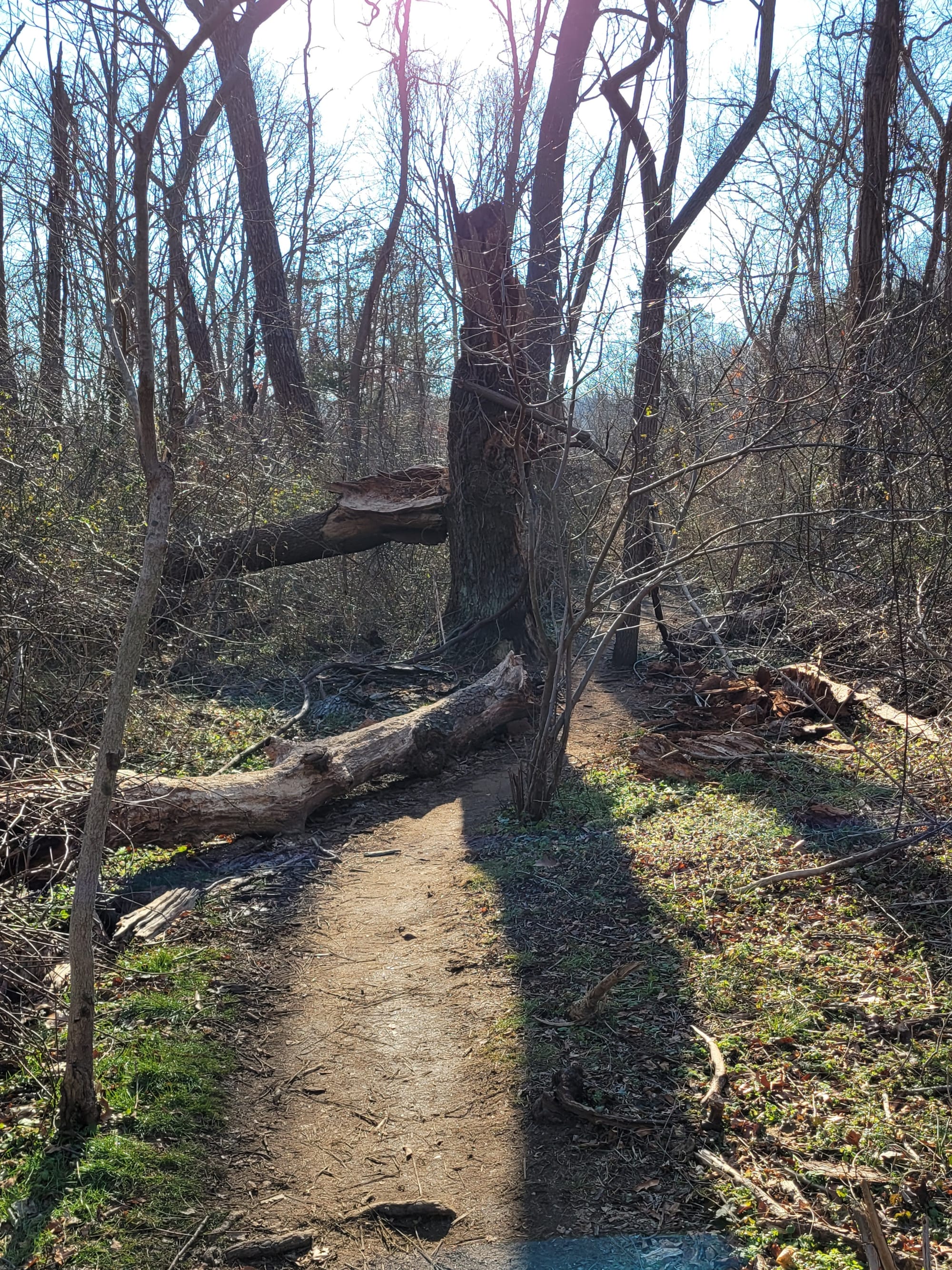 Makamah Nature Preserve Trails (Fort Salonga, NY)