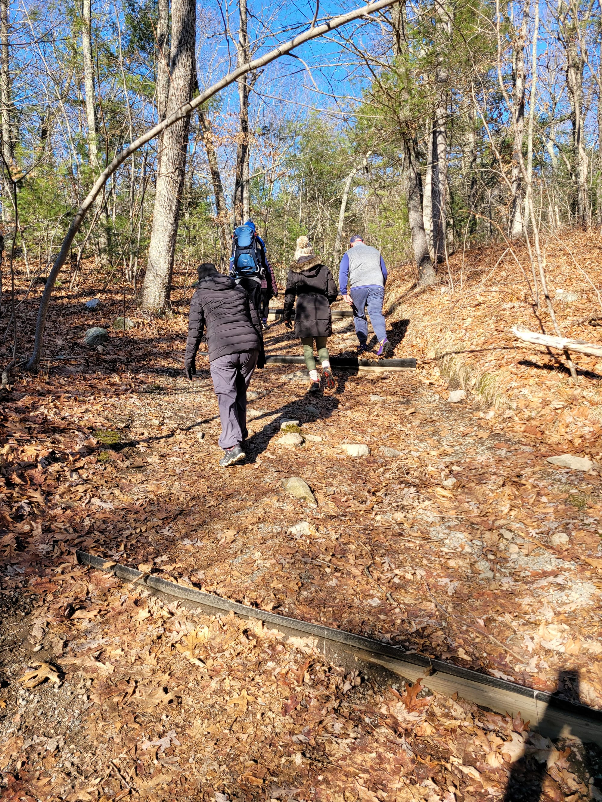 Noanet Woodlands Hiking Trails (Dover, MA)