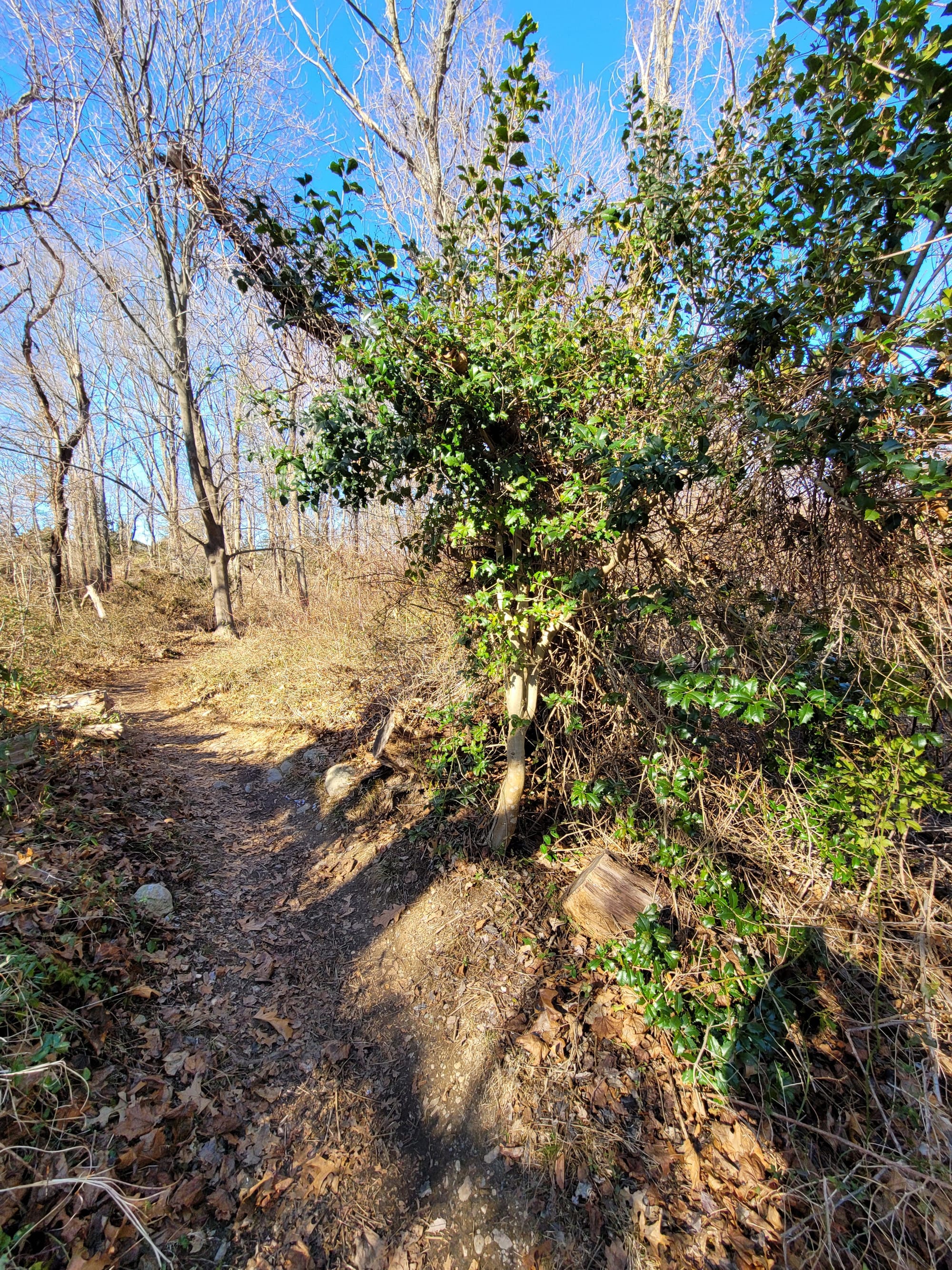 Trail View State Park (Woodbury, NY)