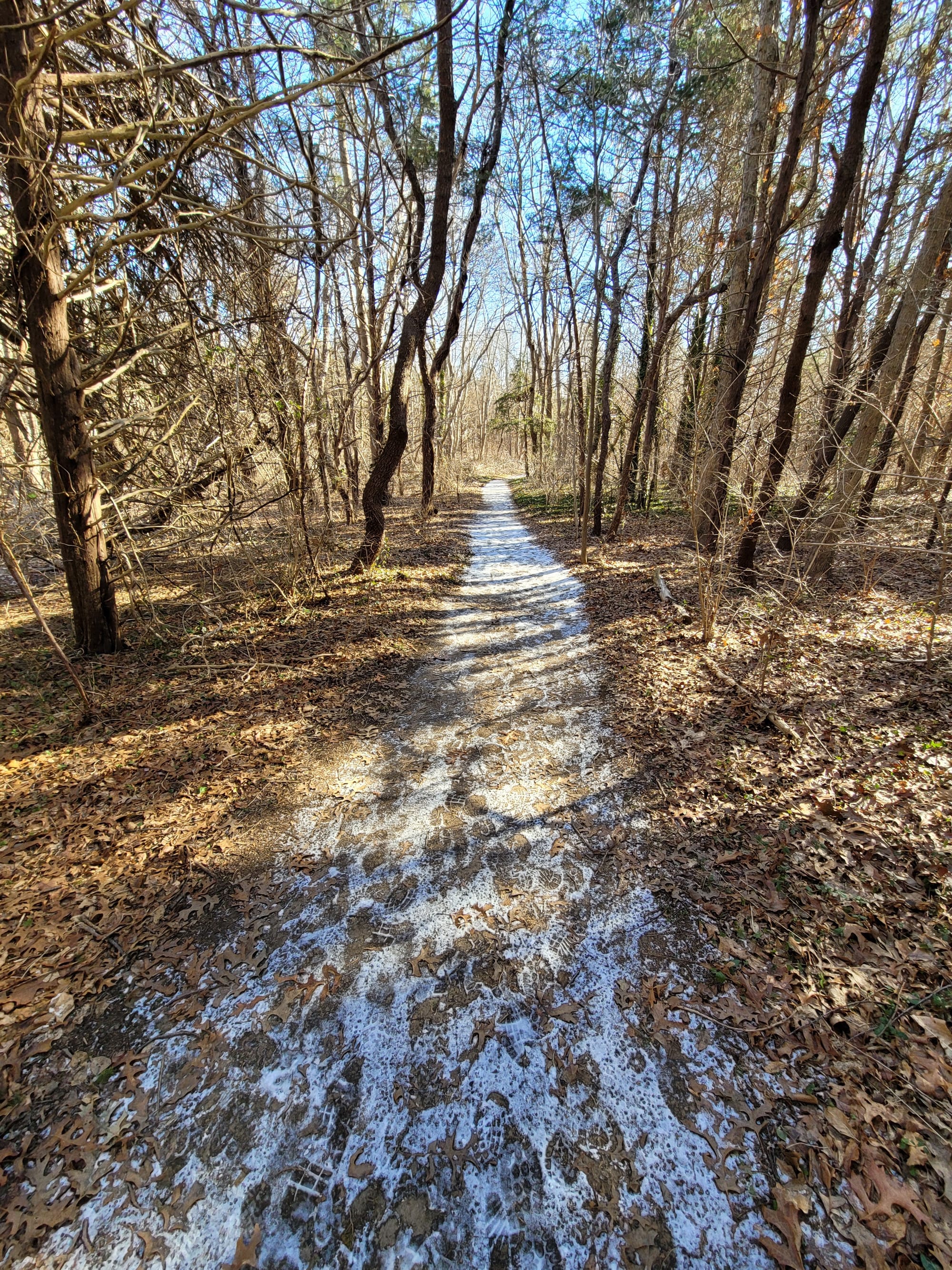 Stillwell Woods Preserve (Woodbury, NY)