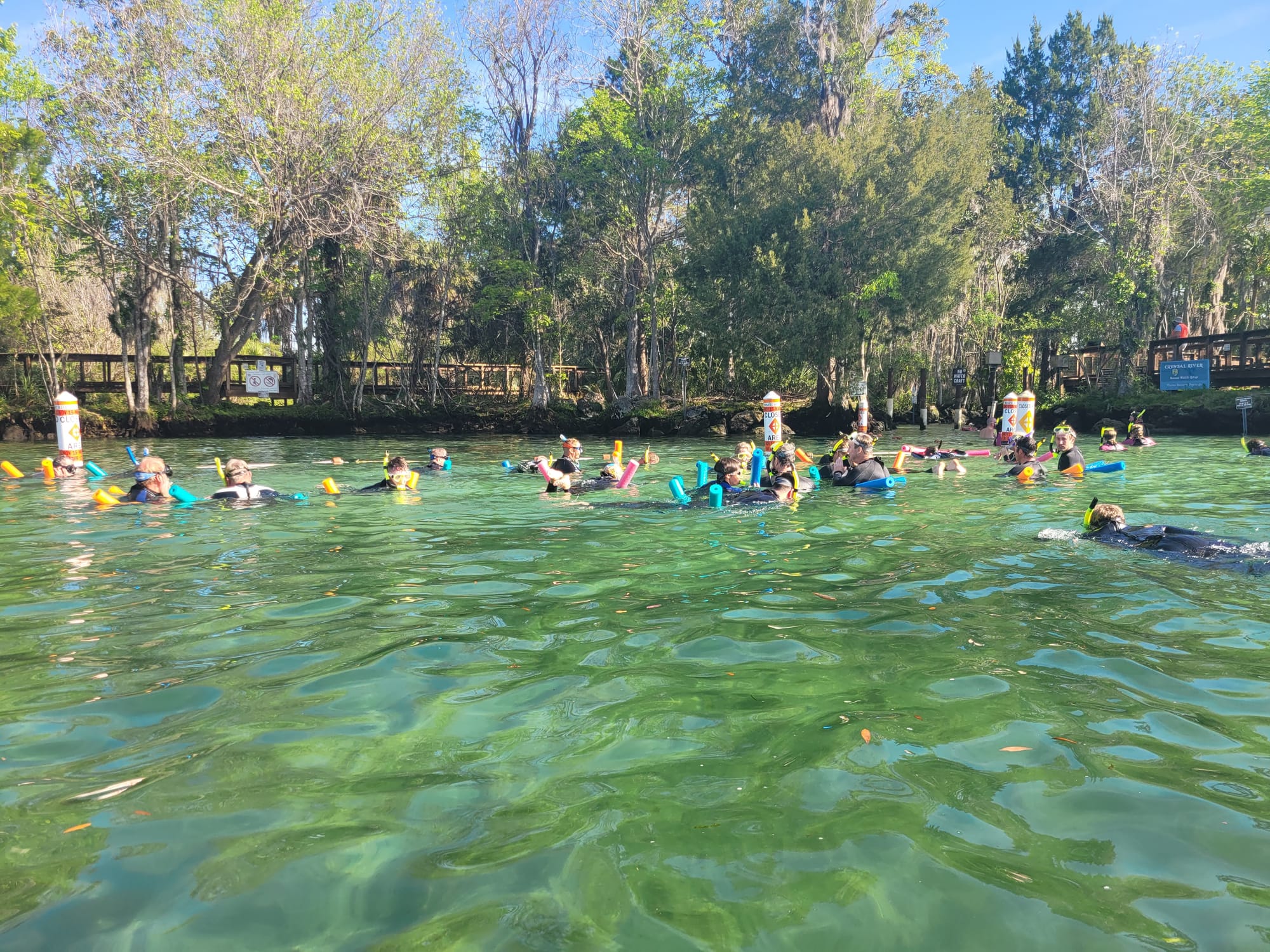 Paddle Outdoor Rentals  (Crystal River, Florida) - Manatee Sanctuary