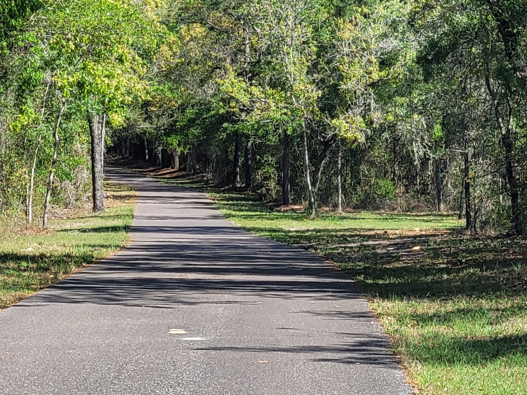 Suncoast Trail (Spring Hill, Florida)