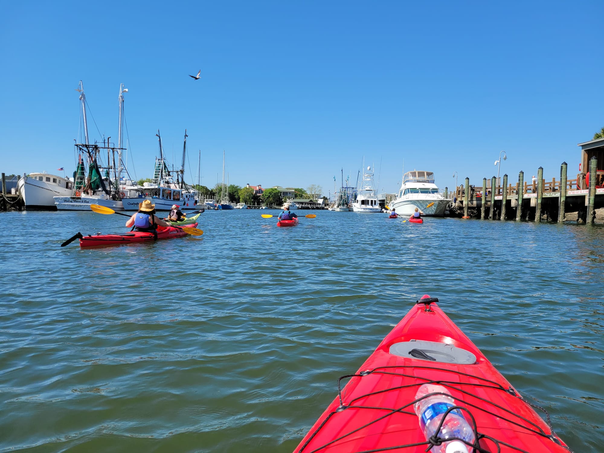 Coastal Expeditions @ Shem Creek, Mt. Pleasant, SC: Two Hour Kayak Tour