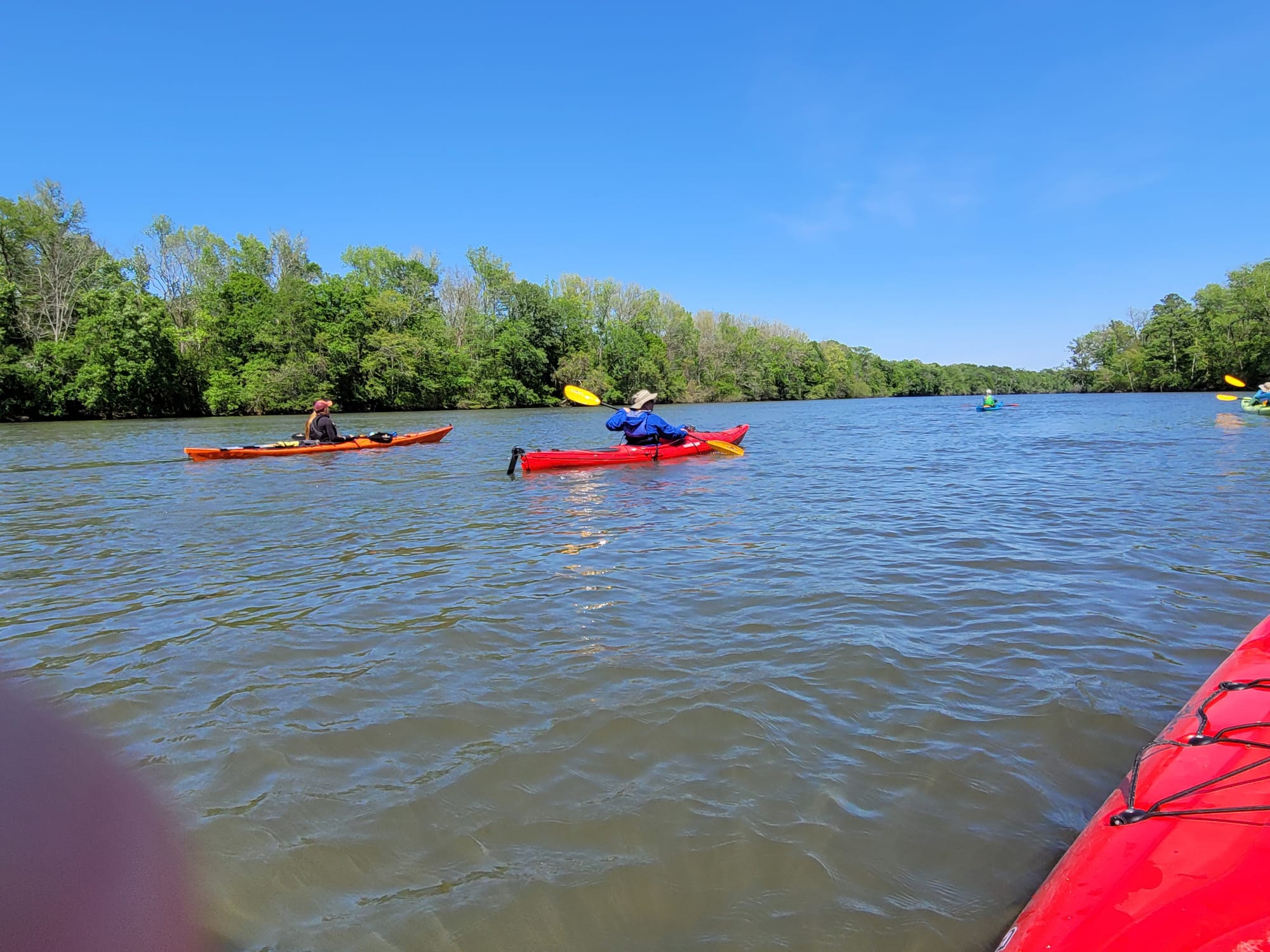 REI Trip: Francis Marion National Forest - Santee River