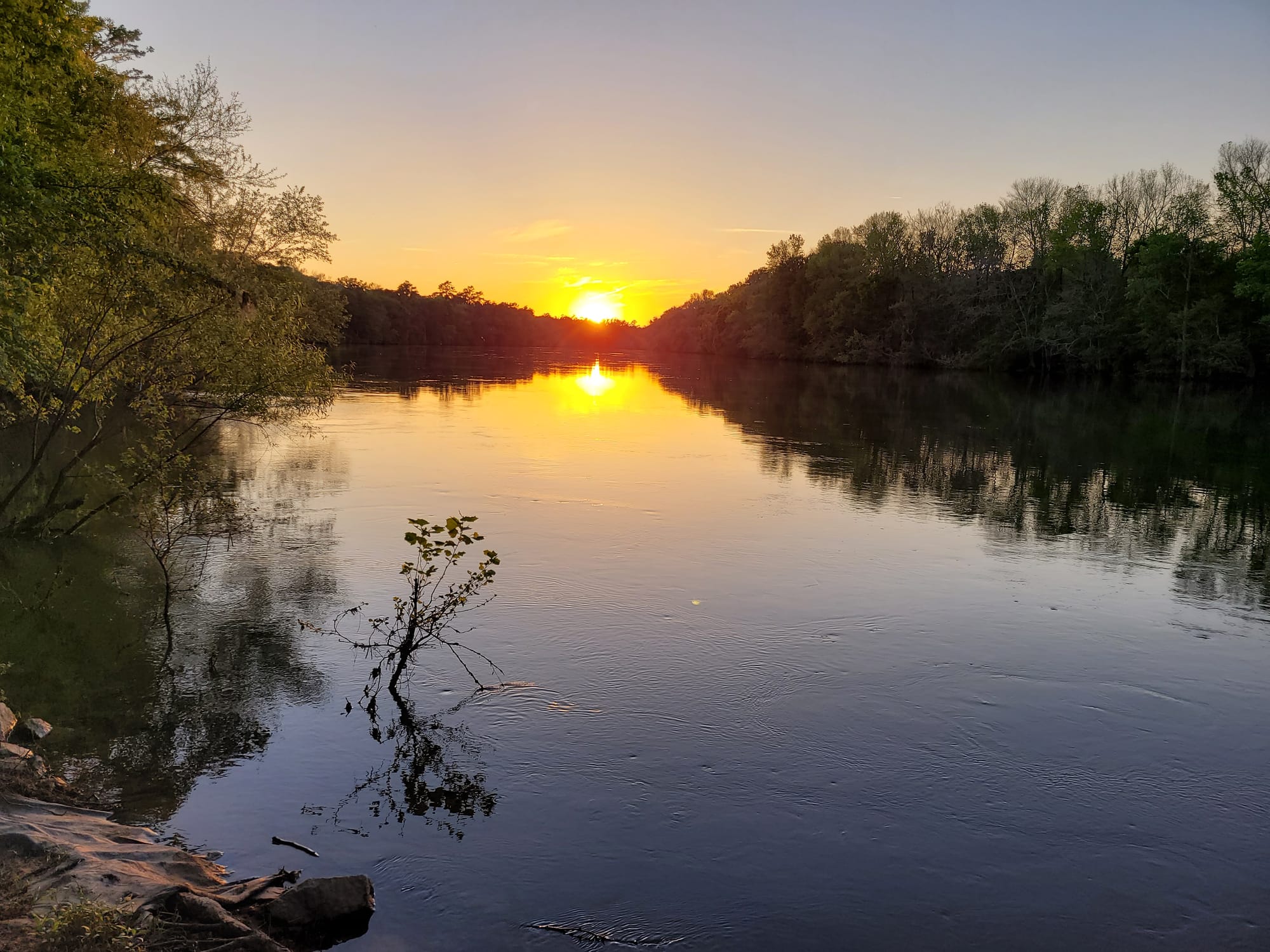 REI Trip: Francis Marion National Forest - McConnel's Landing Campsite - SUNSET on the Santee River