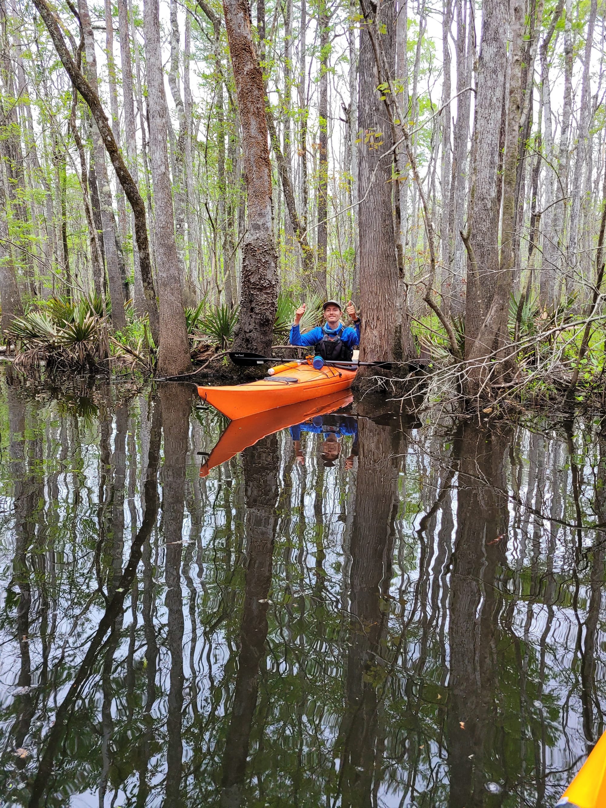 REI Trip: Kayaking from Still Landing on the Wambaw Creek in the Francis Marion National Forest