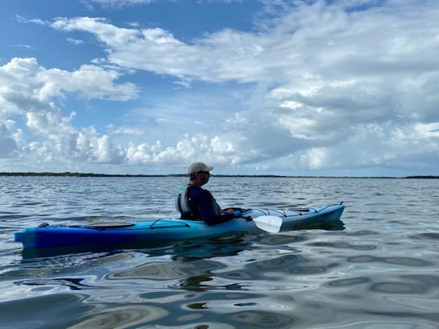 Coastal Kayak Charters tour of the Shell Key Preserve  - St. Petersburg, Florida