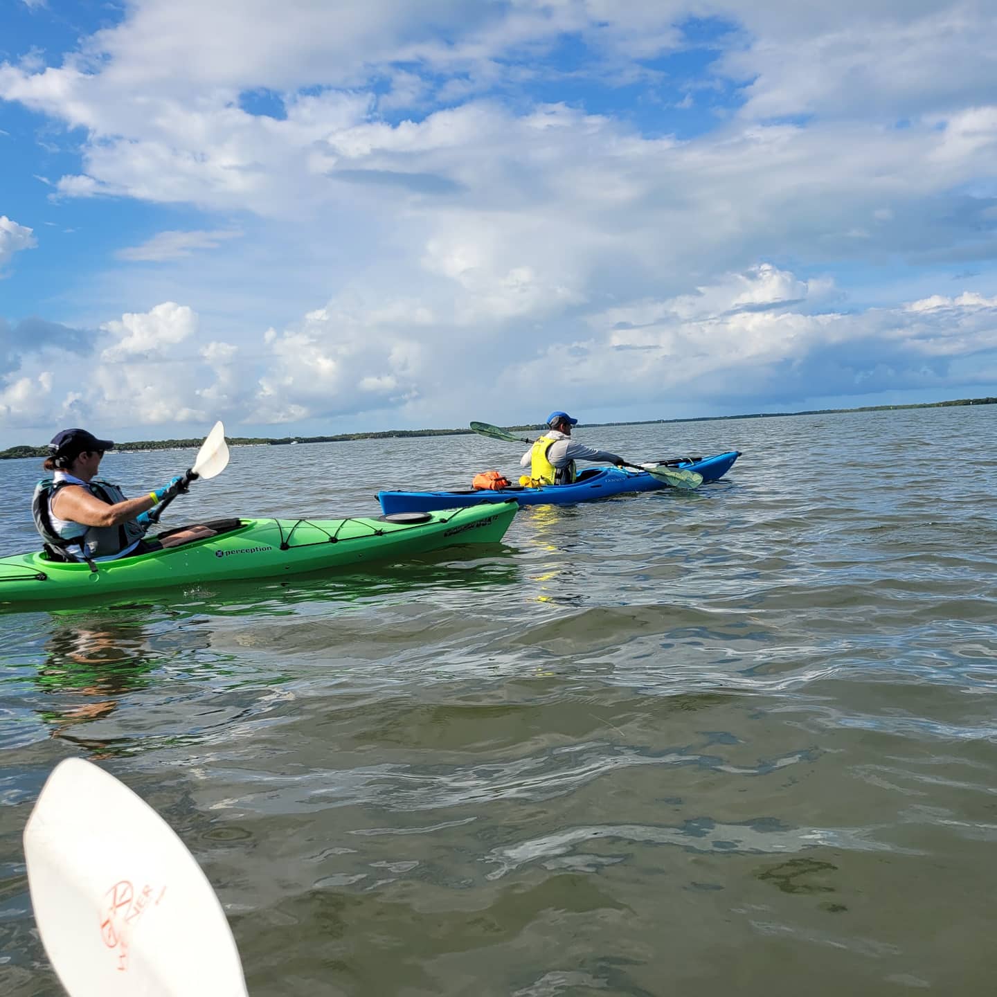 Coastal Kayak Charters tour of the Shell Key Preserve  - St. Petersburg, Florida