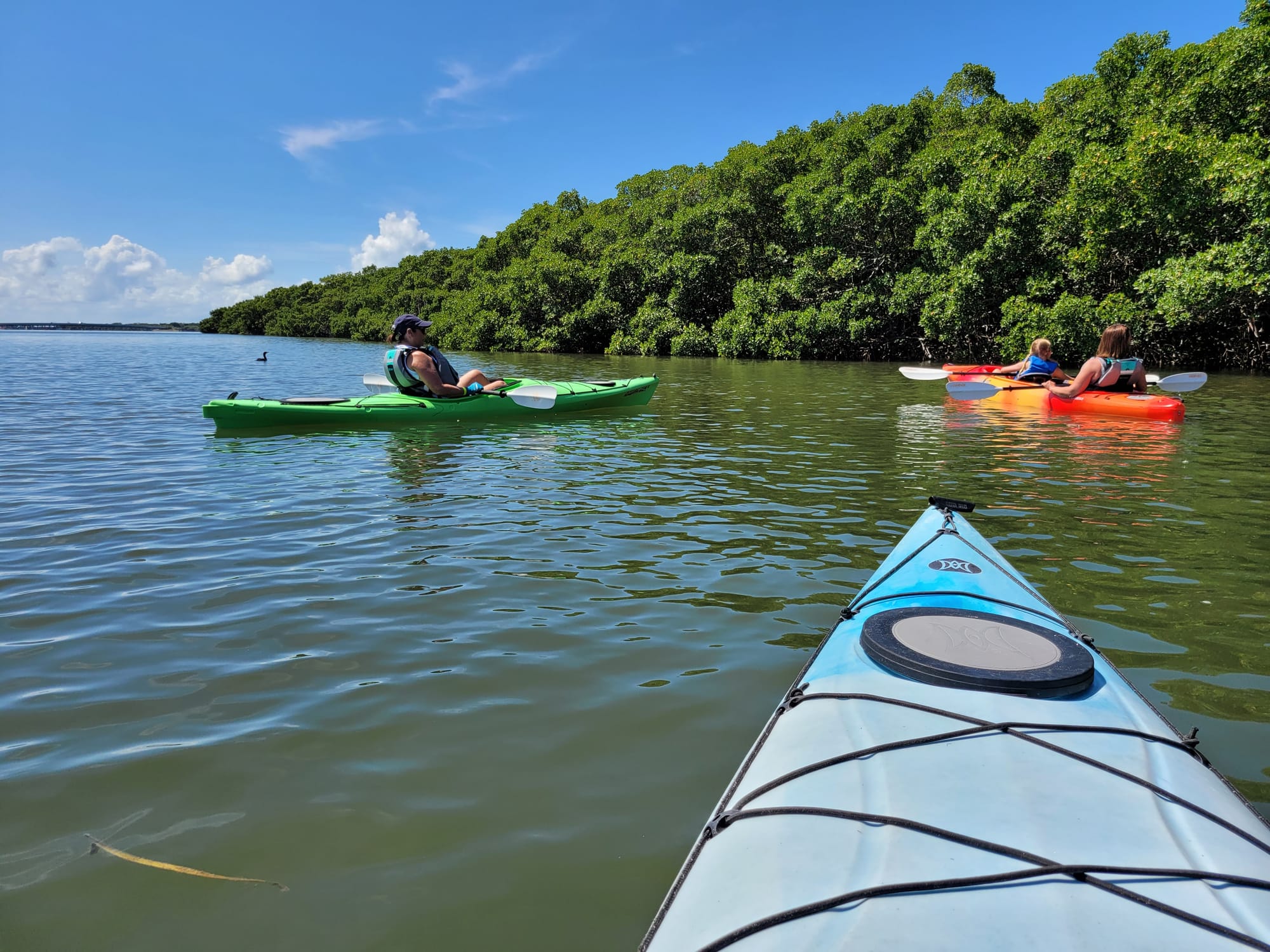 Coastal Kayak Charters tour of the Shell Key Preserve  - St. Petersburg, Florida