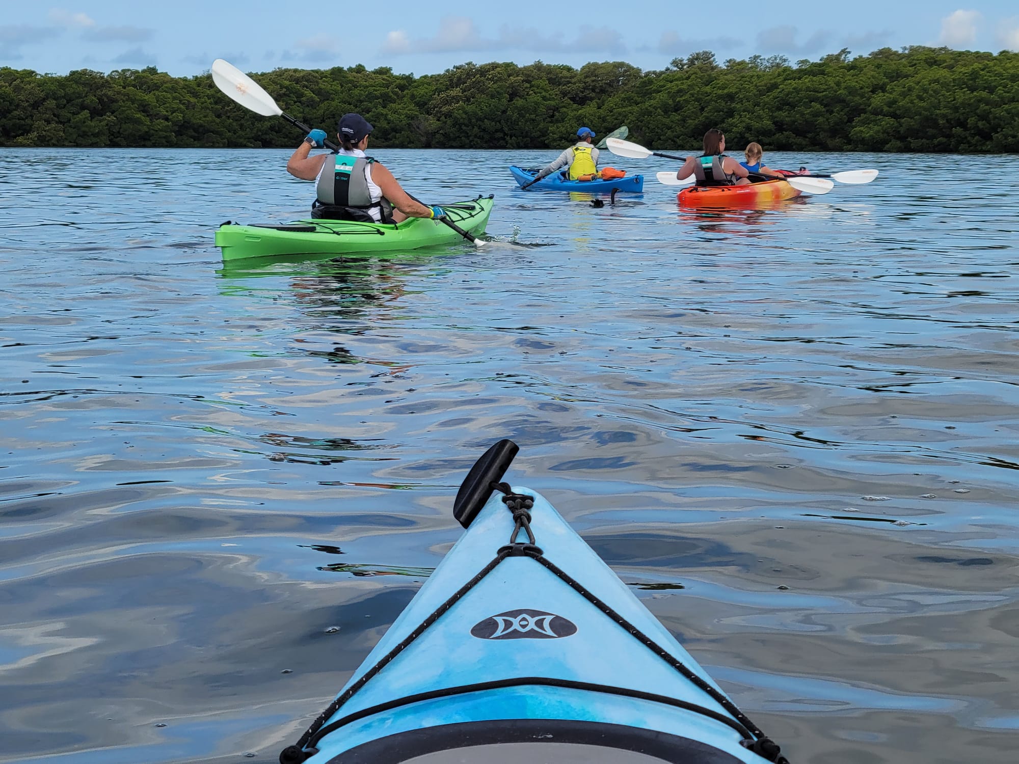 Coastal Kayak Charters tour of the Shell Key Preserve  - St. Petersburg, Florida