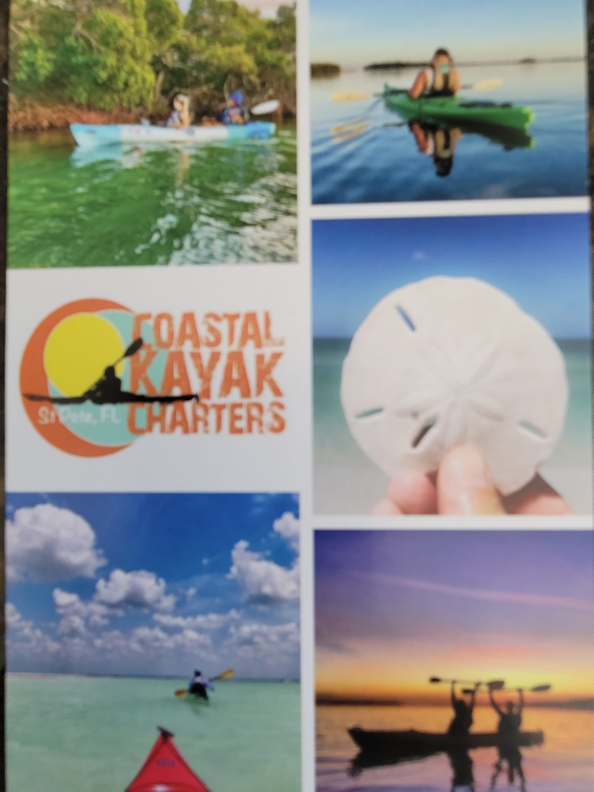 Coastal Kayak Charters tour of the Shell Key Preserve  - St. Petersburg, Florida