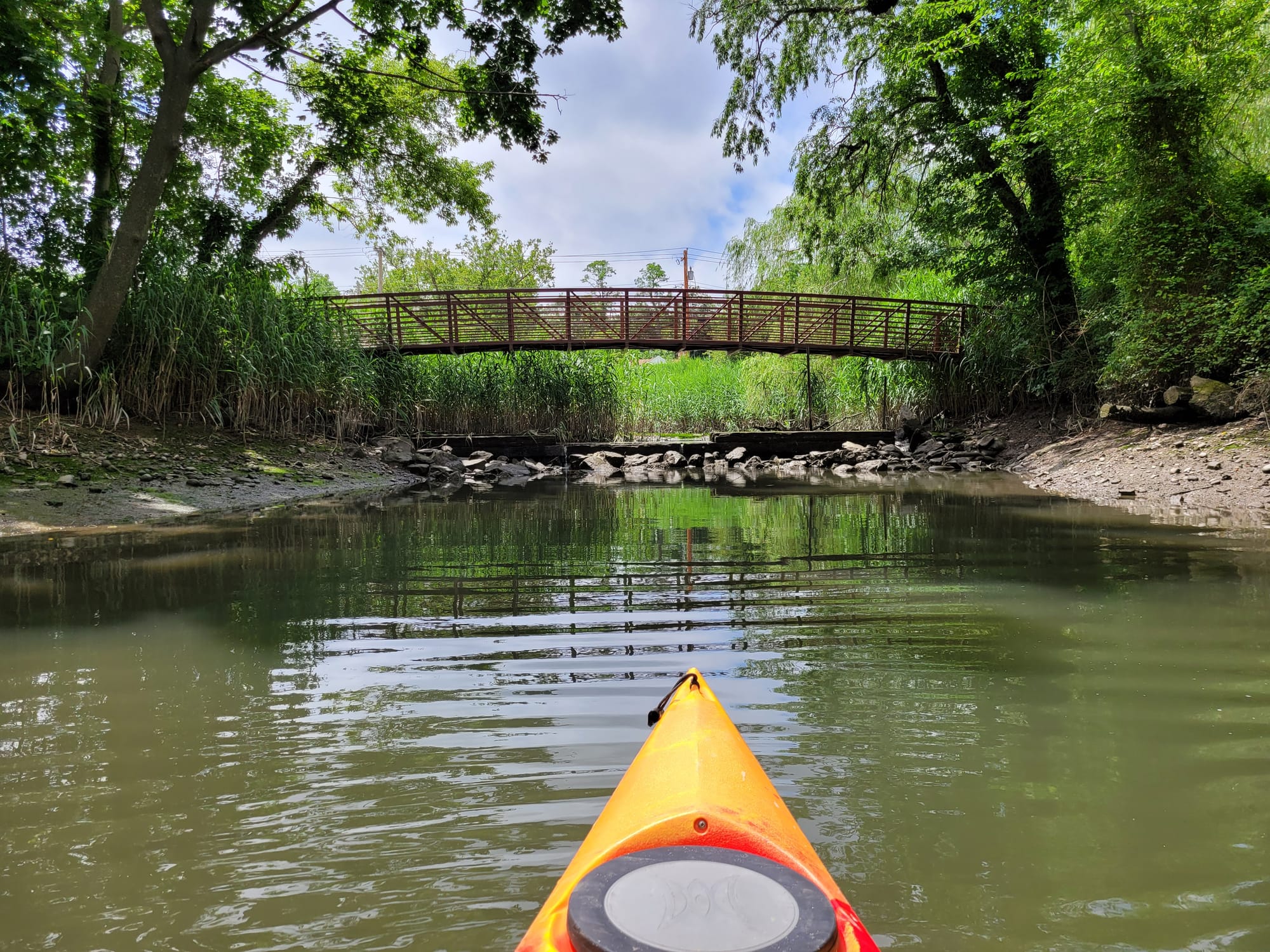 Paumonok Tours - Setauket Harbor - 6/27/21