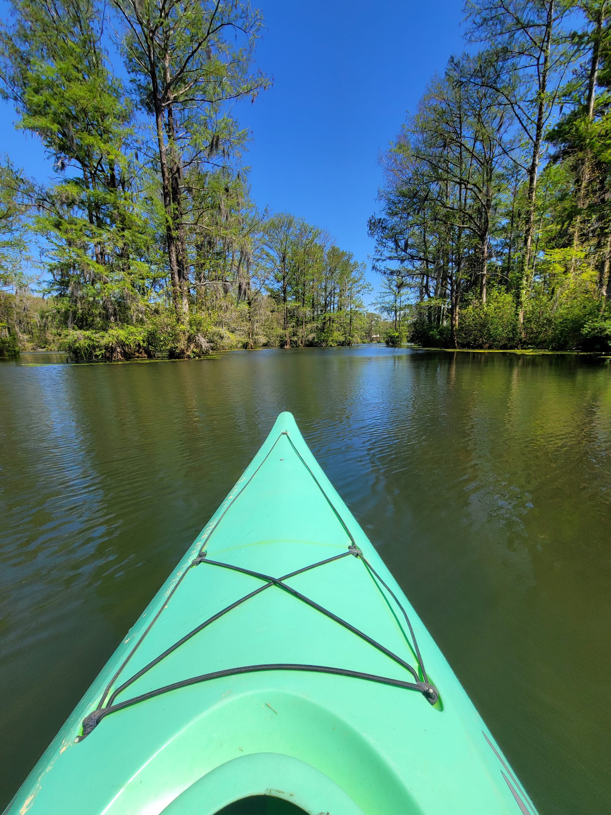 Masonboro Paddle Co. - Greenfield Lake - Wilmington, NC - 4/10/22