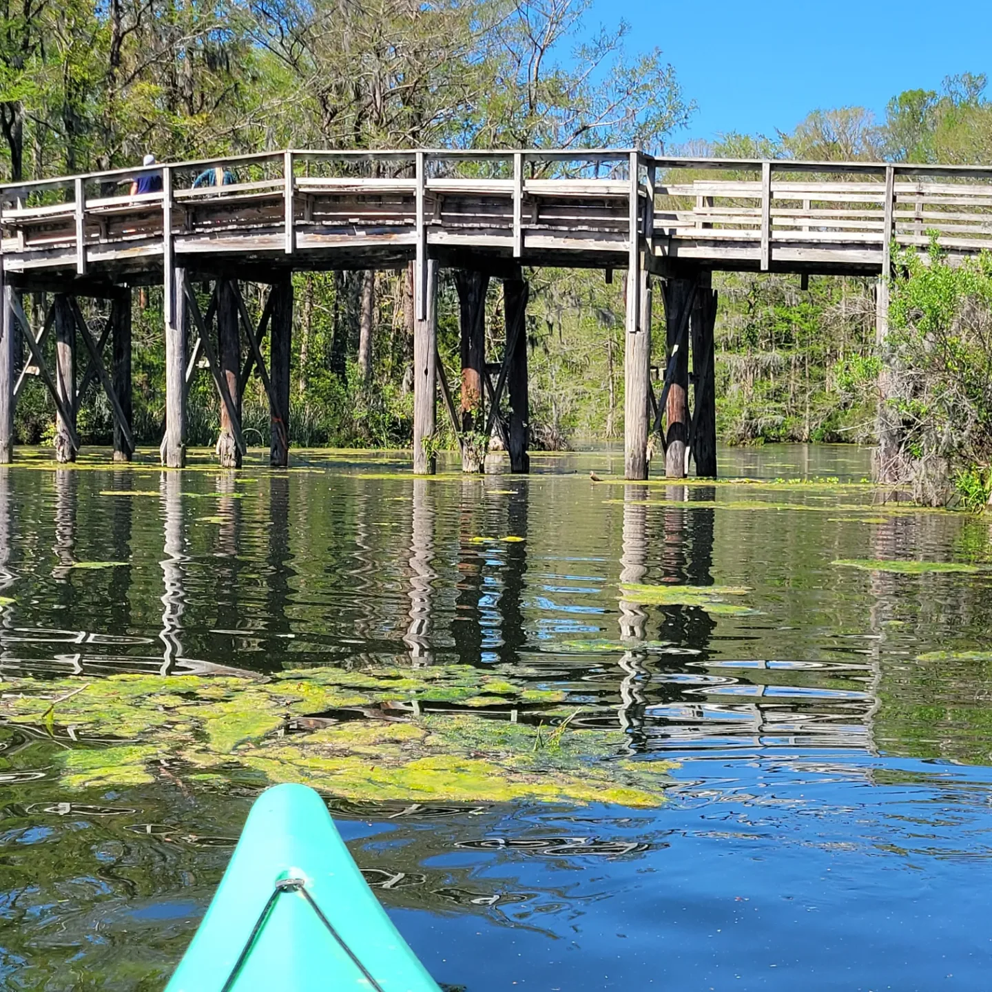 Masonboro Paddle Co. - Greenfield Lake - Wilmington, NC - 4/10/22