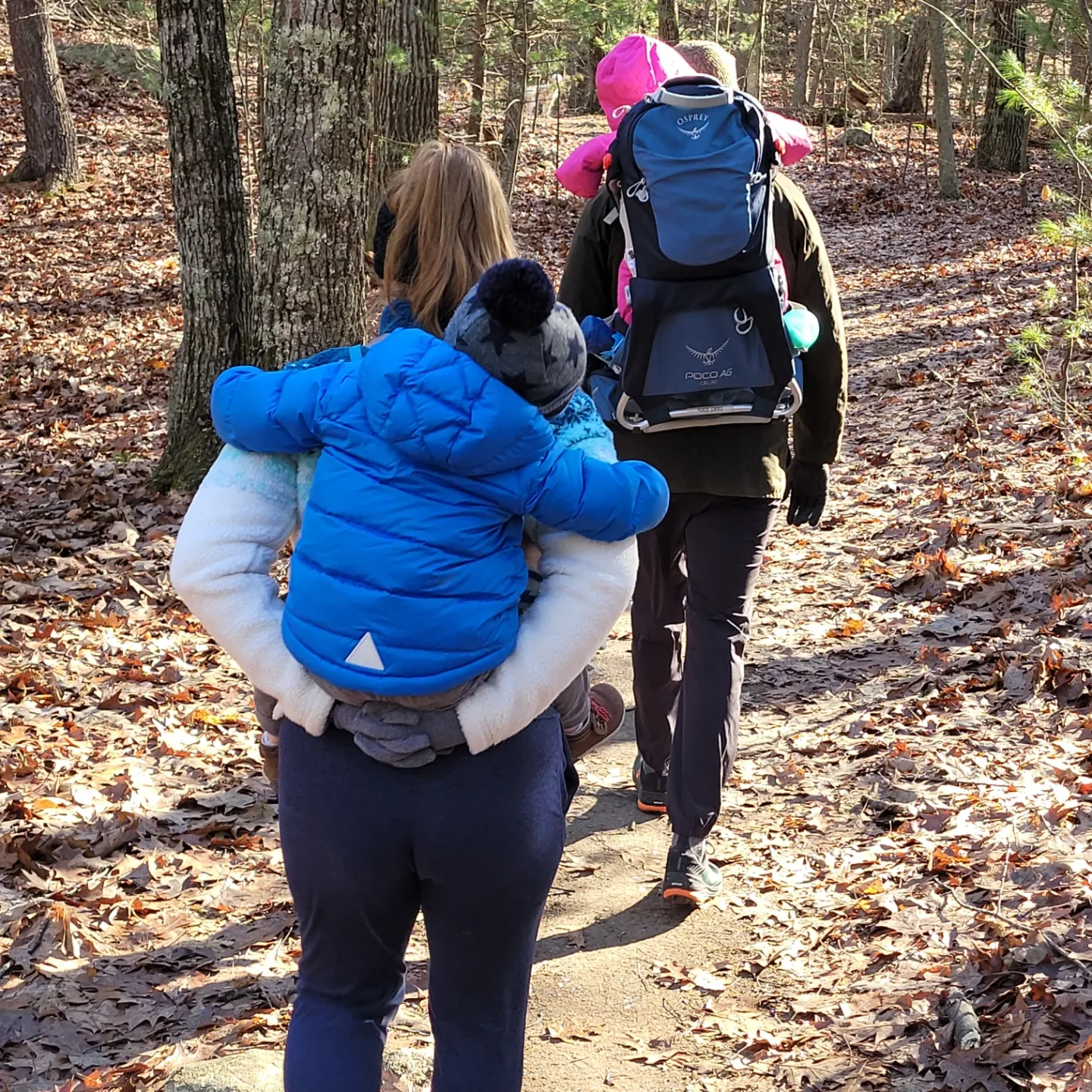 Hale Reservation Hike - Westwood, MA - 1/8/23