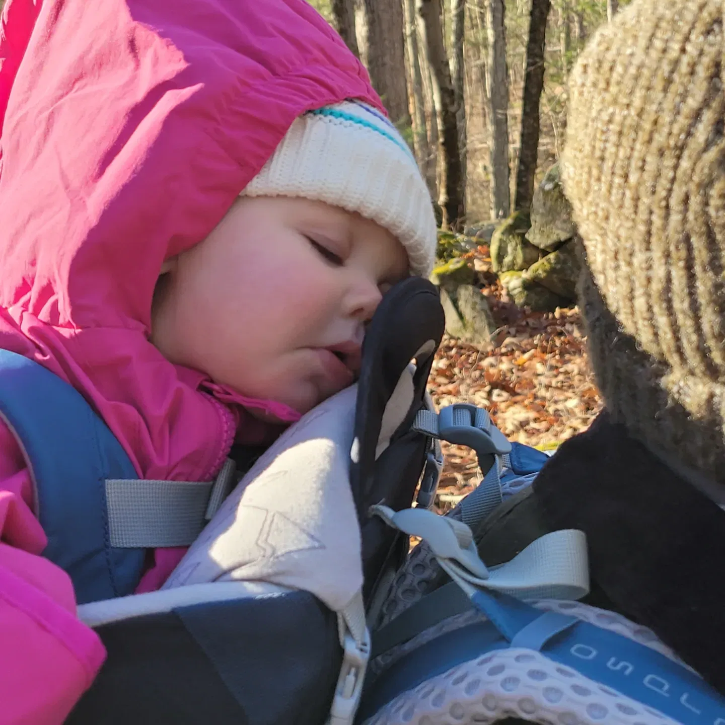 Hale Reservation Hike - Westwood, MA - 1/8/23