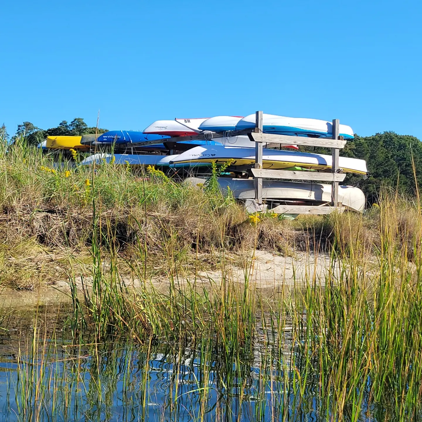 West Meadow Creek - Stony Brook, NY - 10/6/22