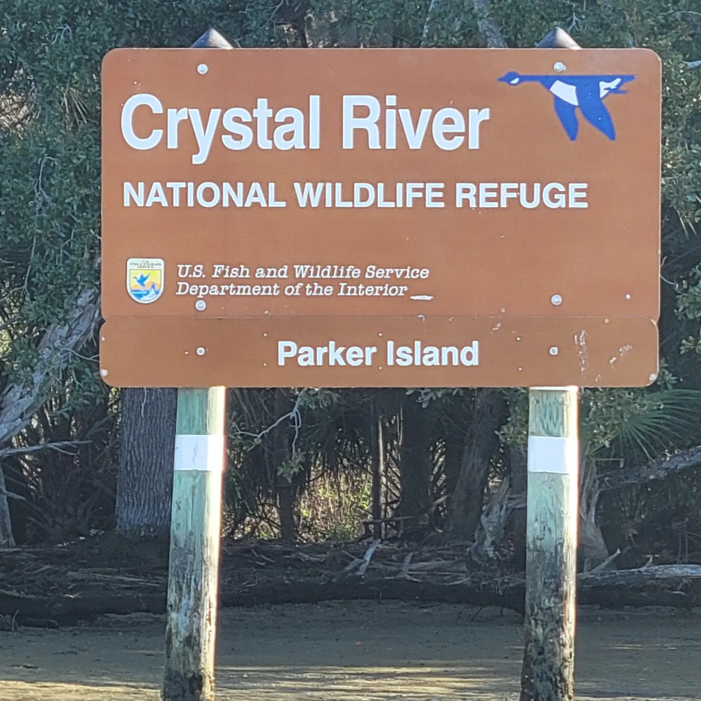 Manatee Swim Center - Crystal River, FL - 2/7/23