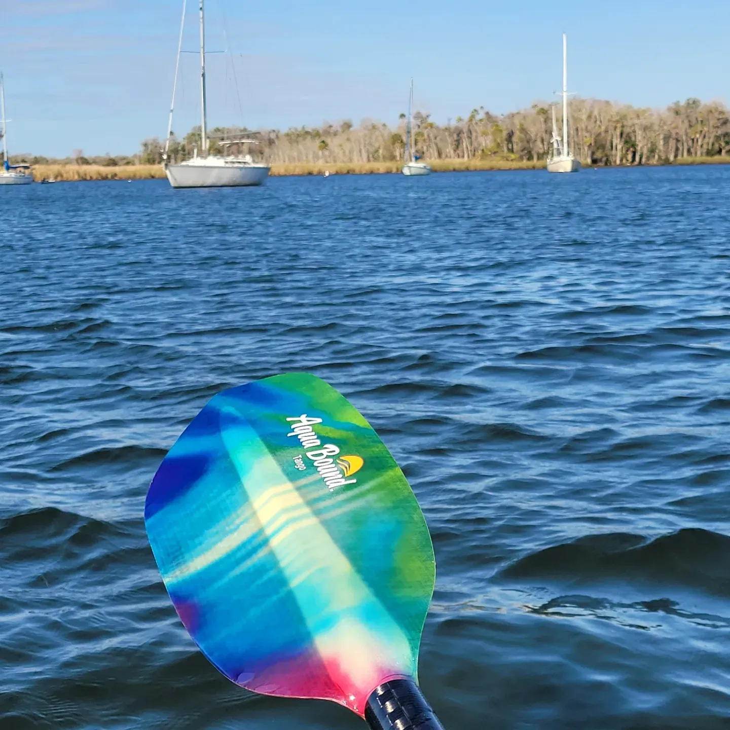 Manatee Swim Center - Kings Bay - Crystal River, FL - 2/7/23