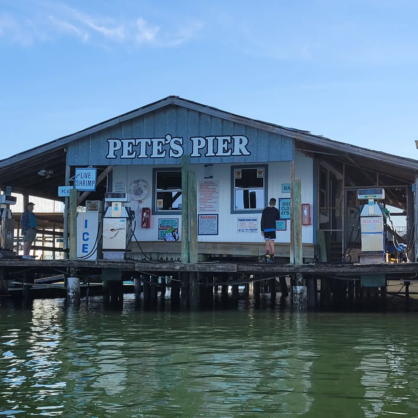 Manatee Swim Center - Kings Bay - Crystal River, FL - 2/7/23