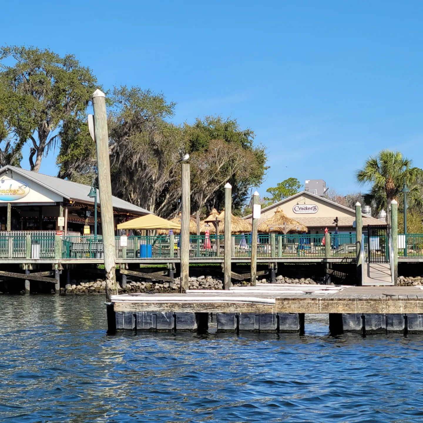 Manatee Swim Center - Crackers, Kings Bay - Crystal River, FL - 2/7/23