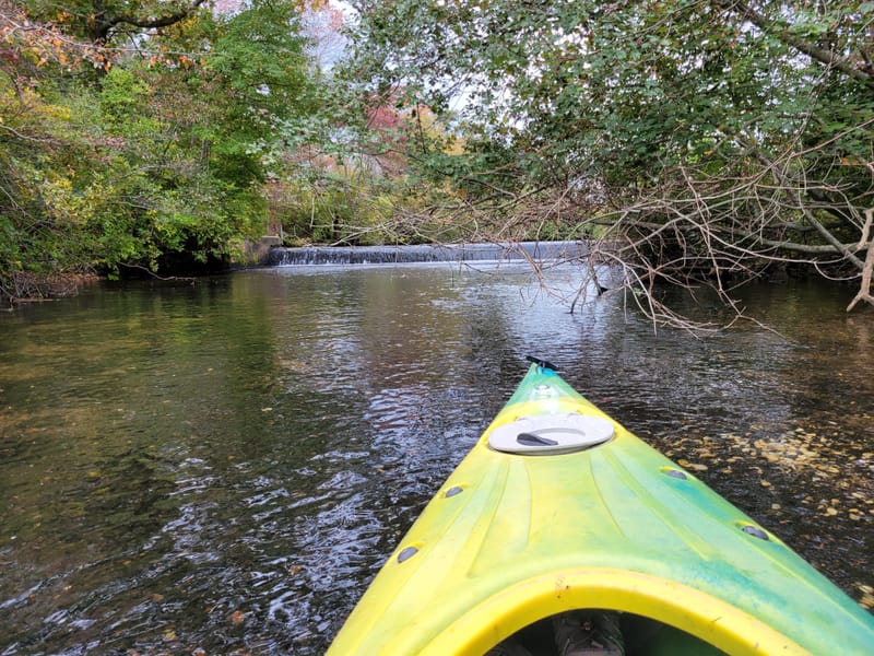 Peconic Paddler (Riverhead, NY)