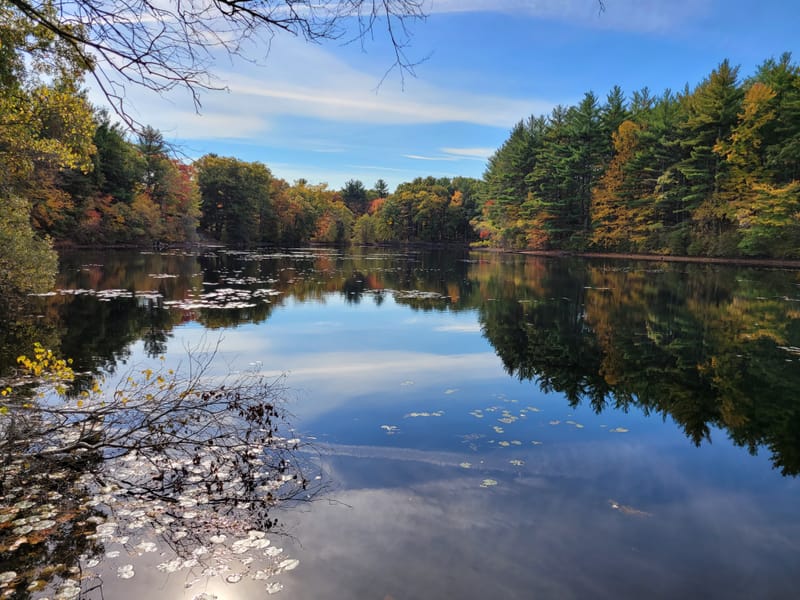 Rocky Woods Reservation Hiking Trails (Medfield, MA)