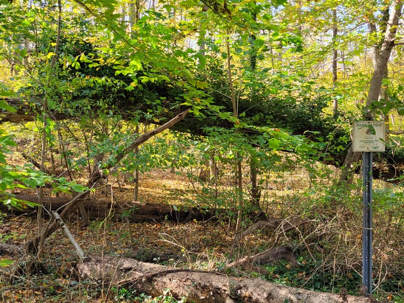 West Hills County Park (Melville, NY)