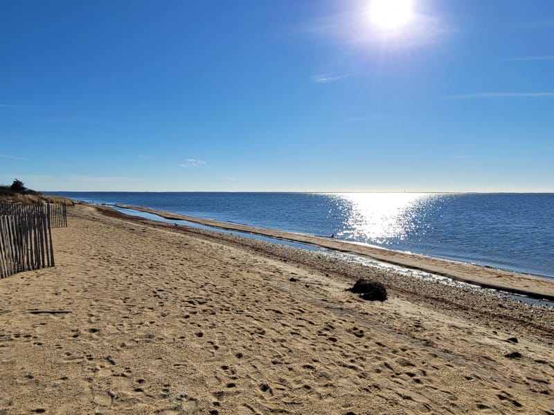 Heckscher State Park Hiking/Biking Trails (East Islip, NY)