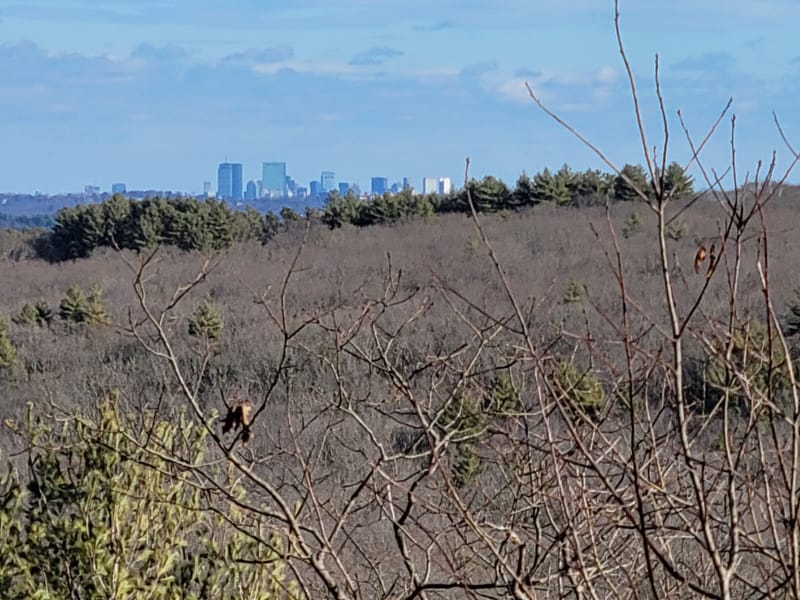 Noanet Woodlands Hiking Trails (Dover, MA)