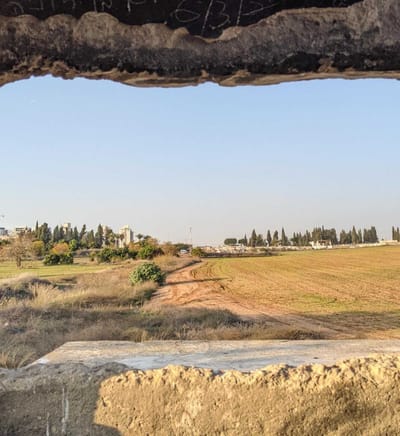 הַסִּיבִי מַבָּט