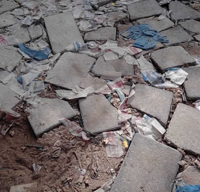 שִׁנּוּיֵי אַקְלִים וּפְלִיטַת גָּזֵי חֲמָמָה